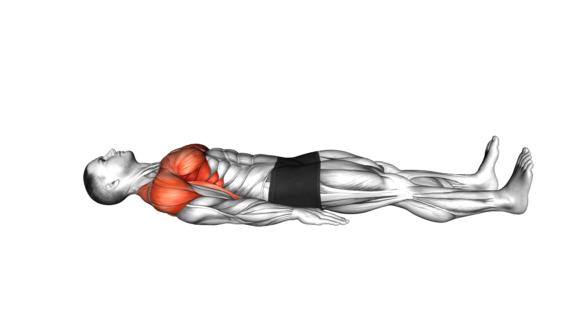 Lying Arms Slide exercise demonstration