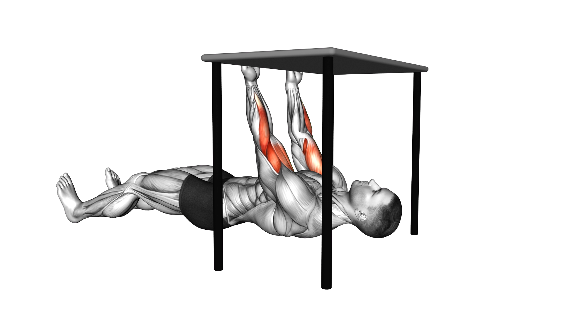 Biceps Table Row exercise demonstration