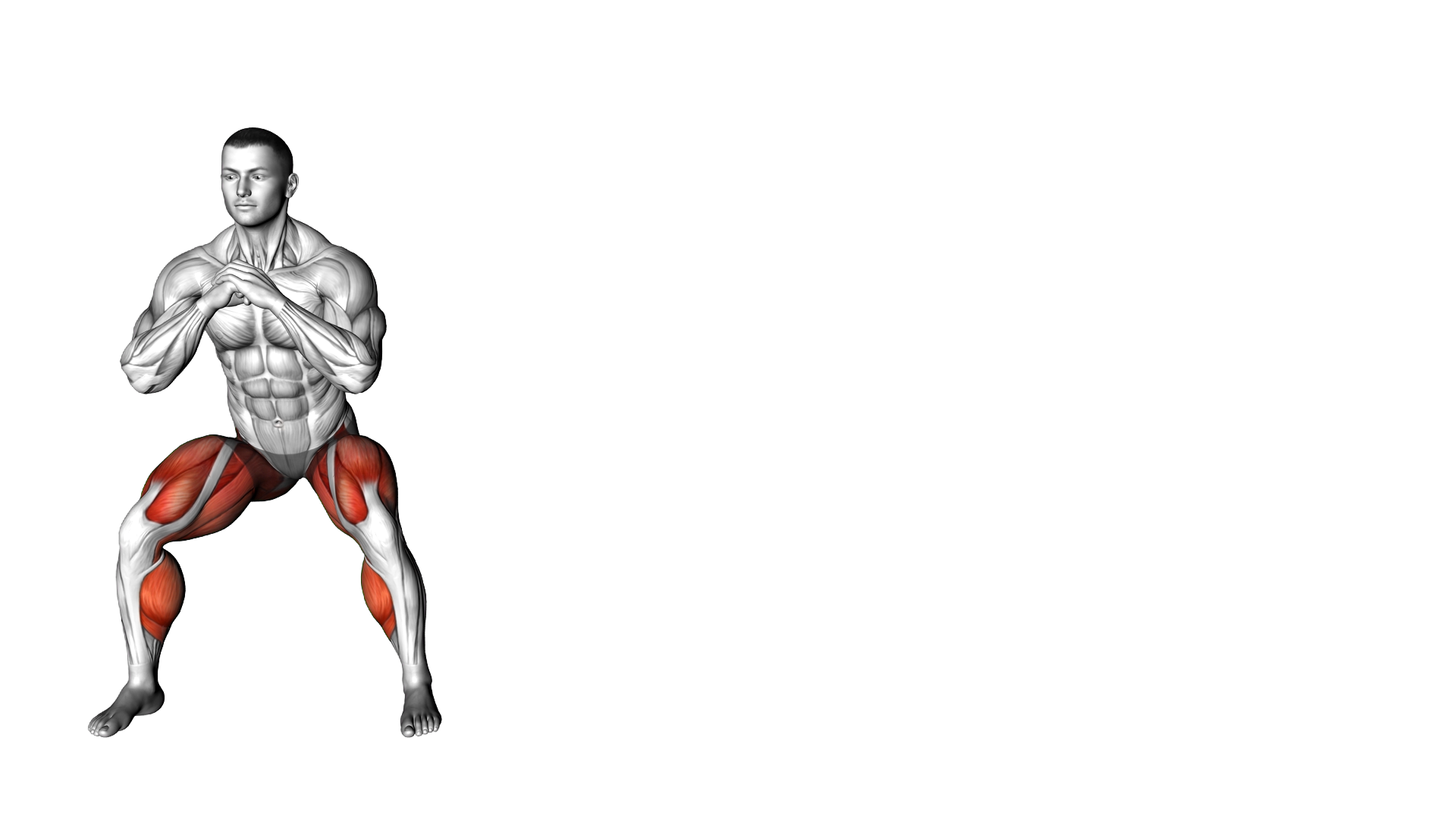Bodyweight Squat Side Shuffle exercise demonstration