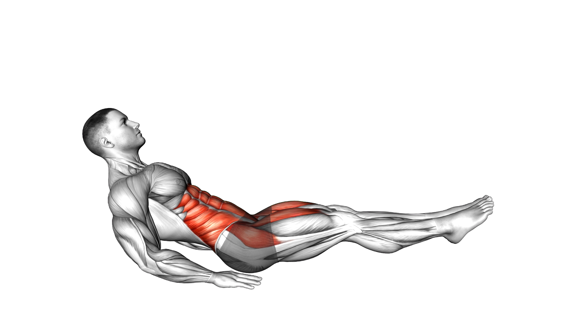 V Leg Raise exercise demonstration