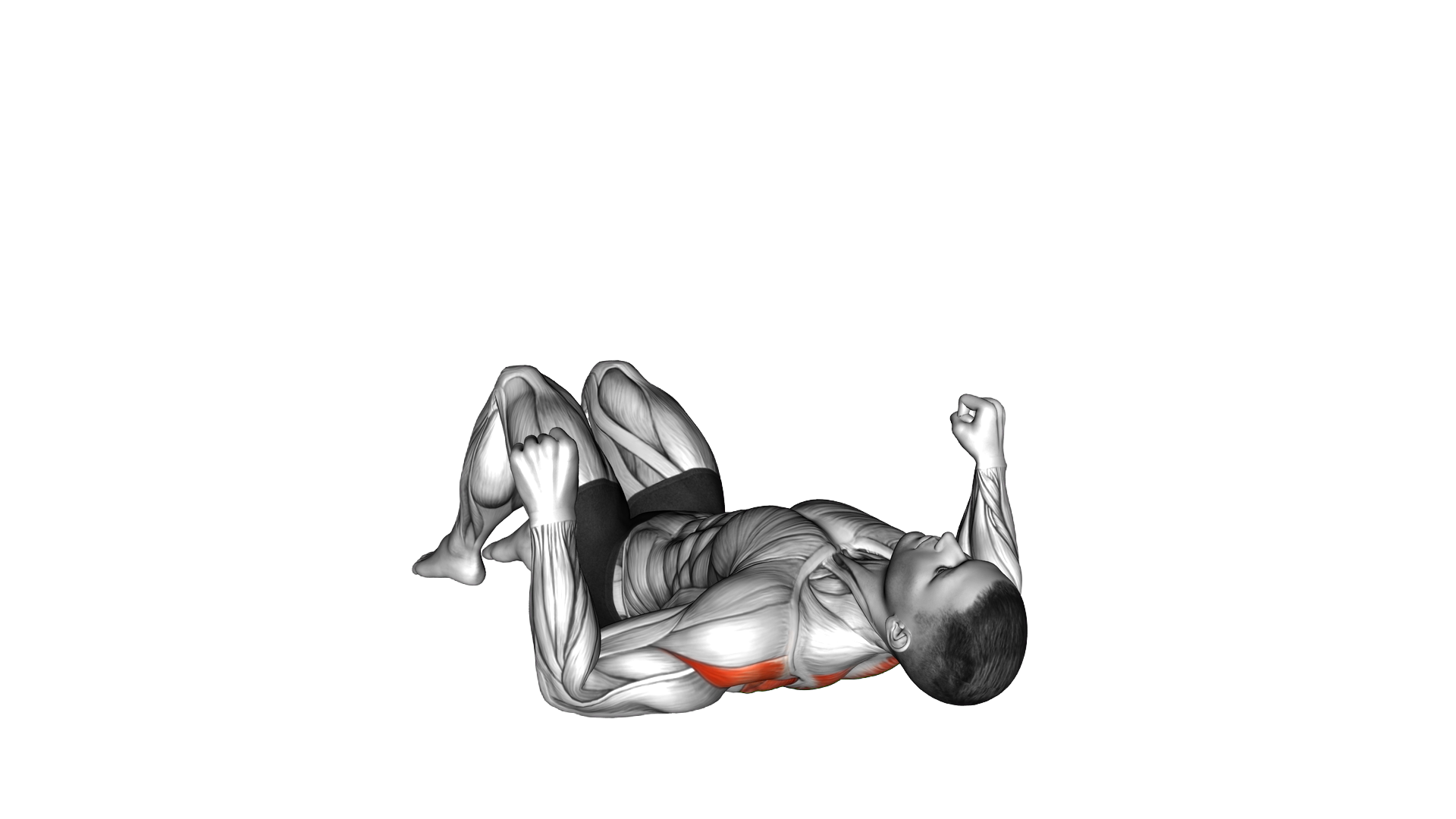 Lying Floor Row Hold with Bent Knee exercise demonstration