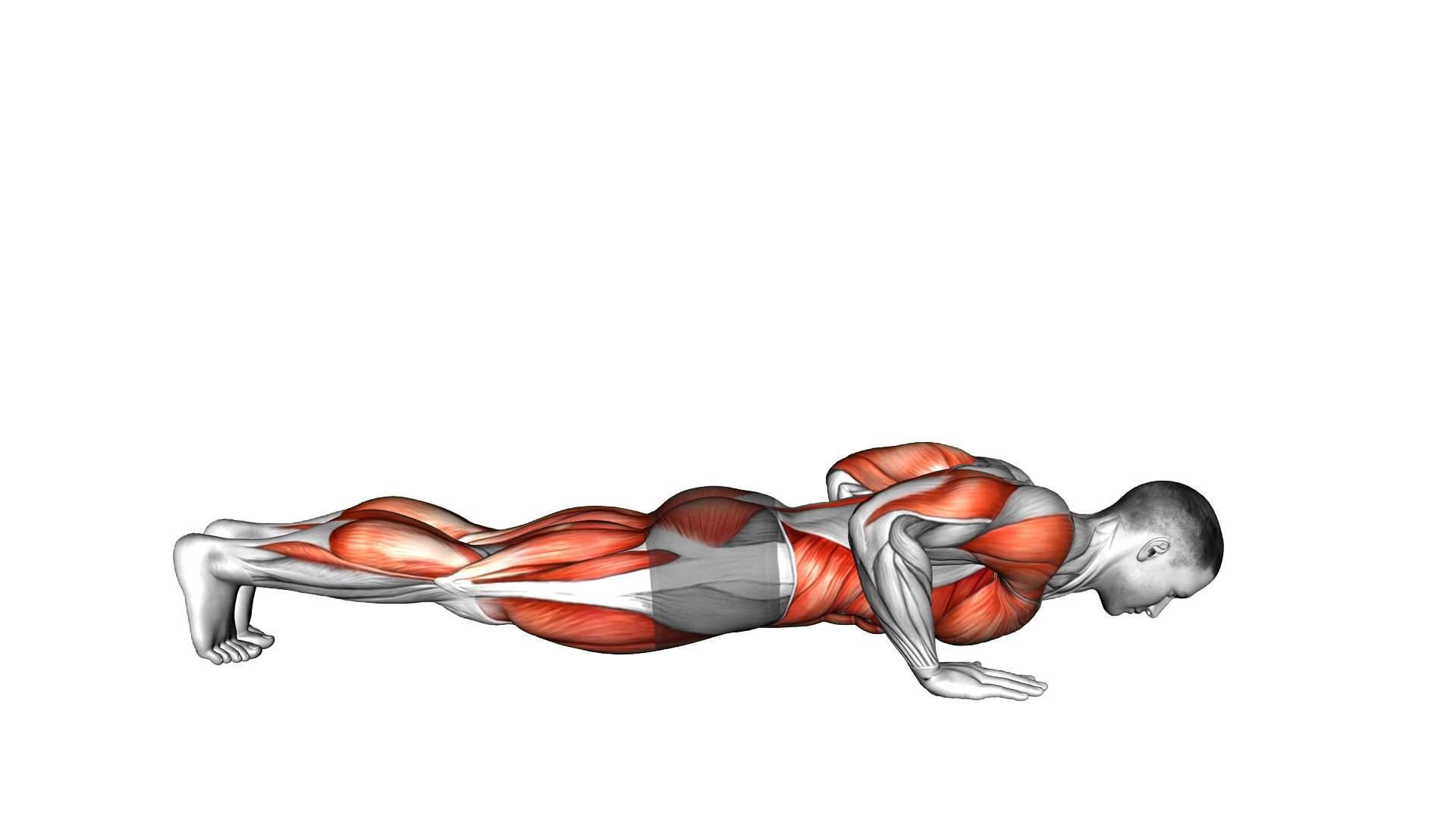 Push up Mountain Climber exercise demonstration
