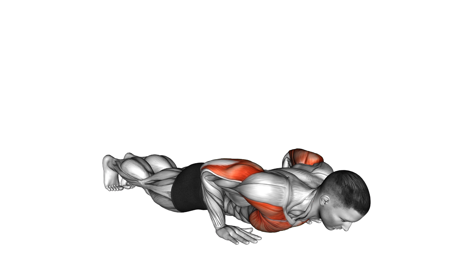 Half Push up Max Rep exercise demonstration