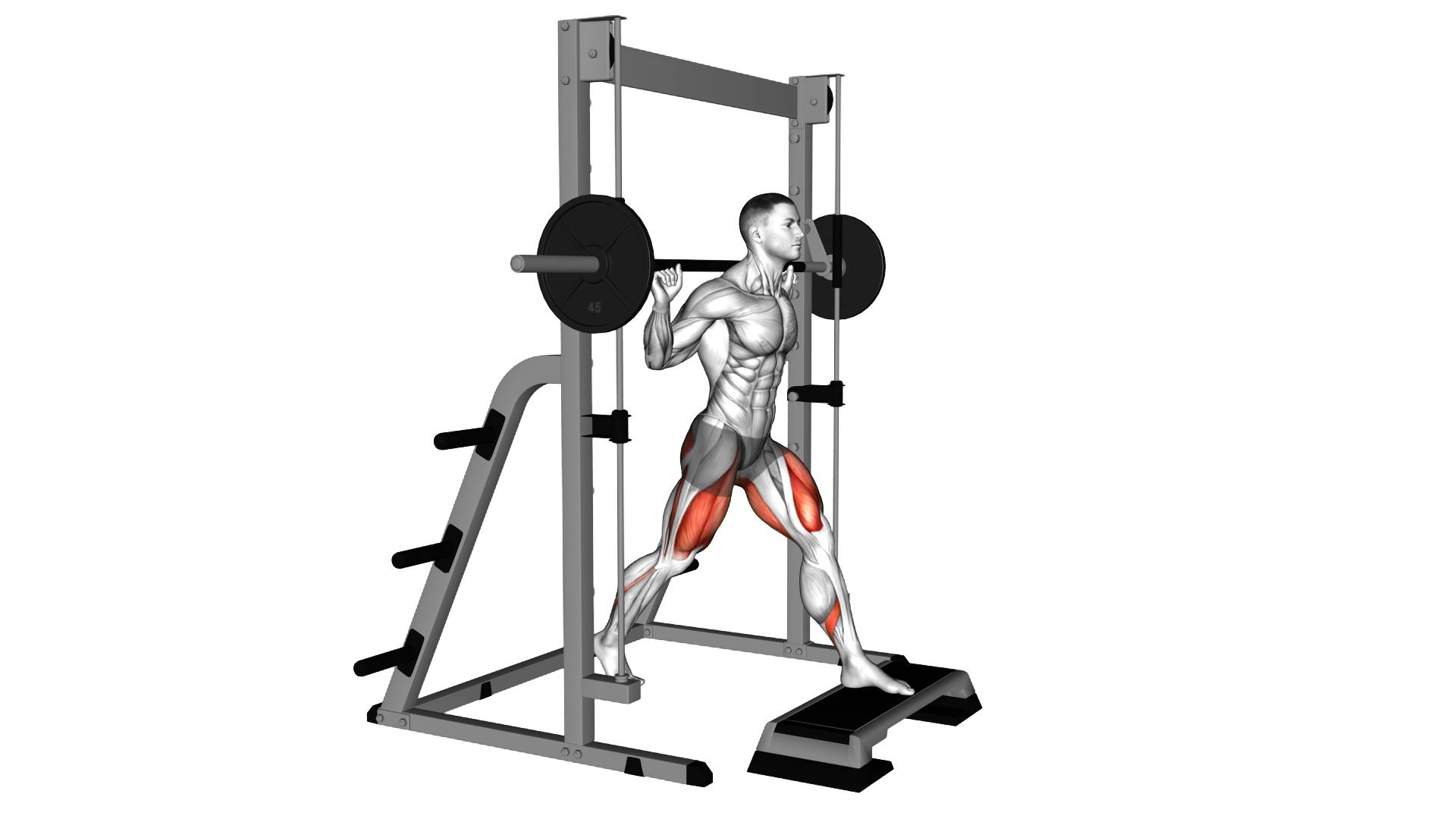 Smith Front Leg Elevated Split Squat exercise demonstration