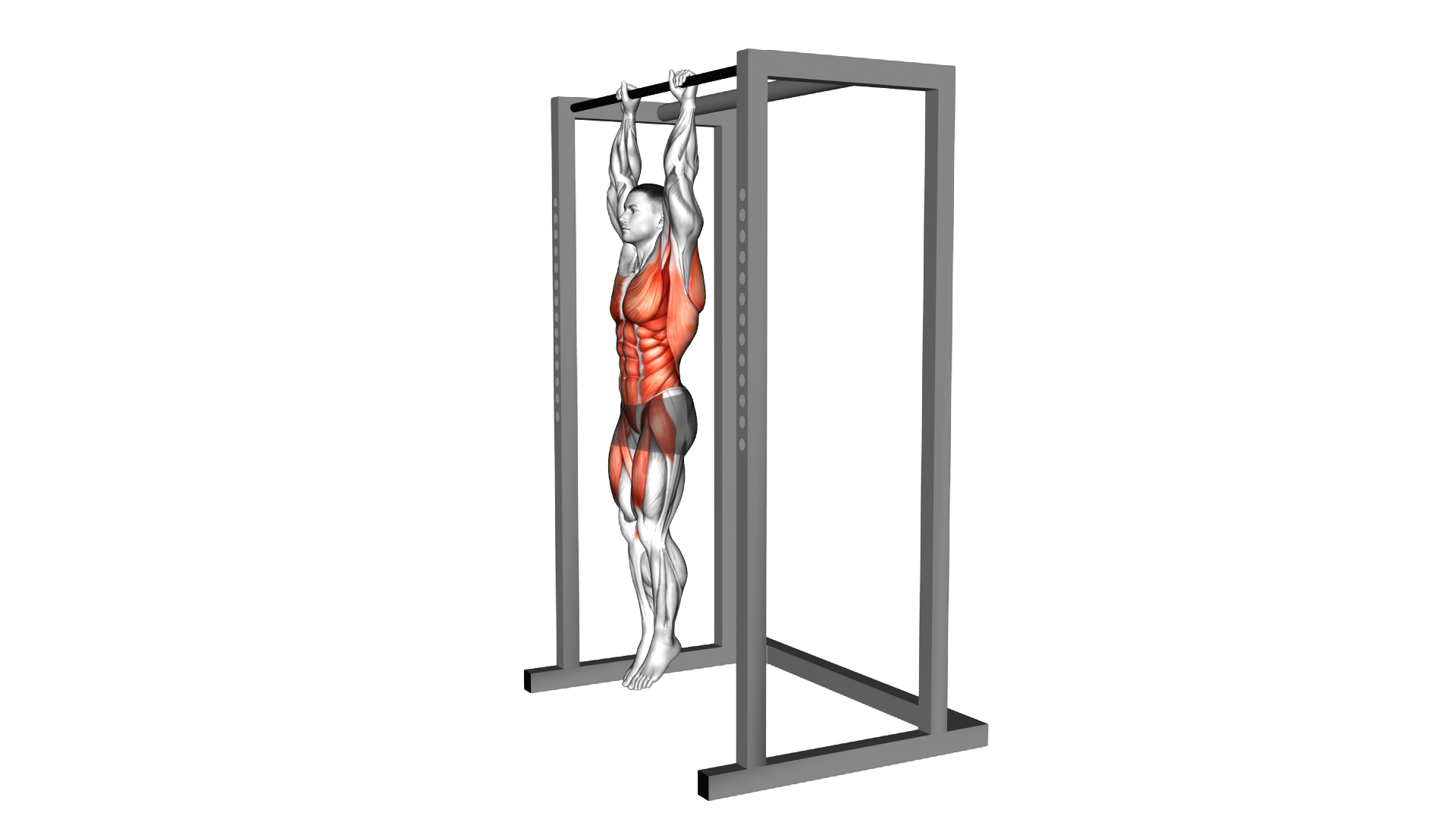 Hanging Front Lever Hold exercise demonstration