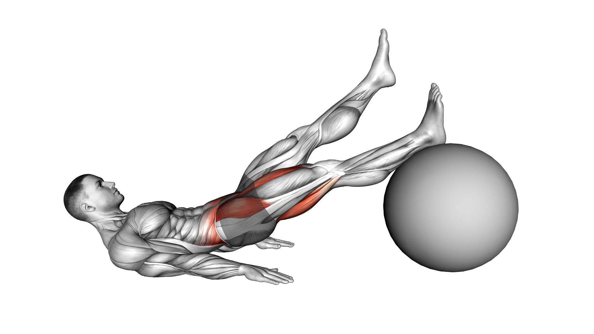 Straight Hip Single Leg Curl on Stability Ball (ma exercise demonstration