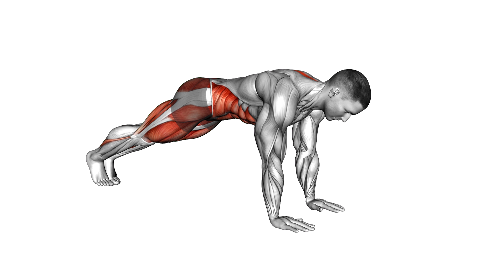 Mountain Climber Cross Kick exercise demonstration