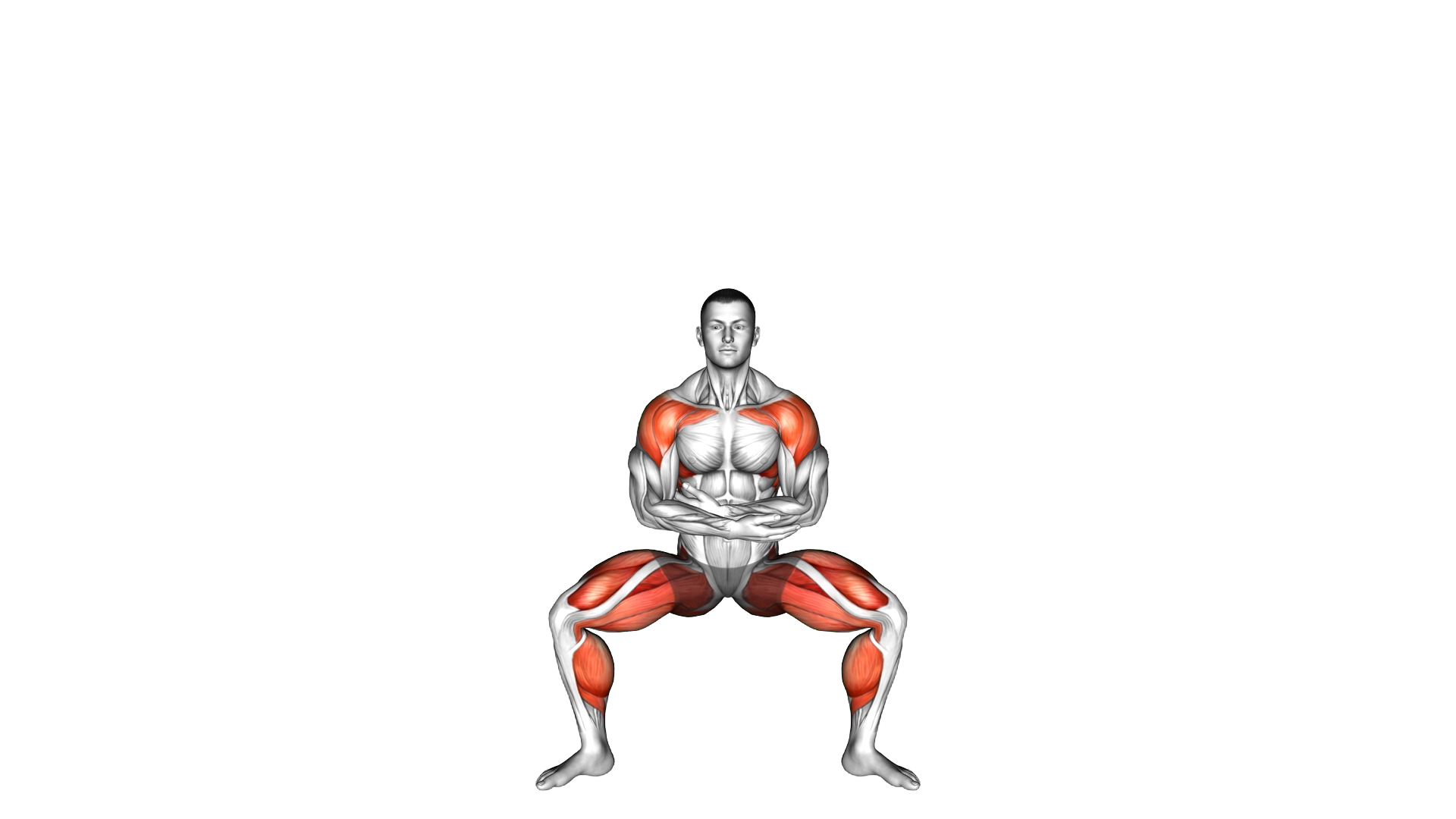 Deep Breathe Flaps Plyo Squat exercise demonstration