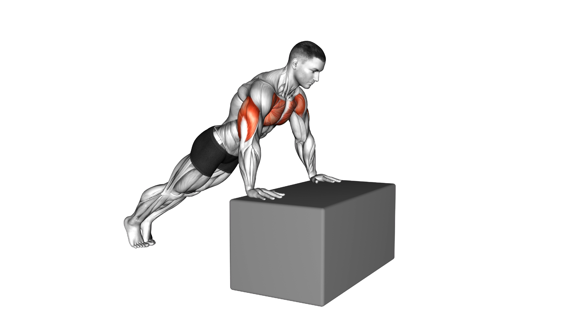 Incline Plyo Push up exercise demonstration