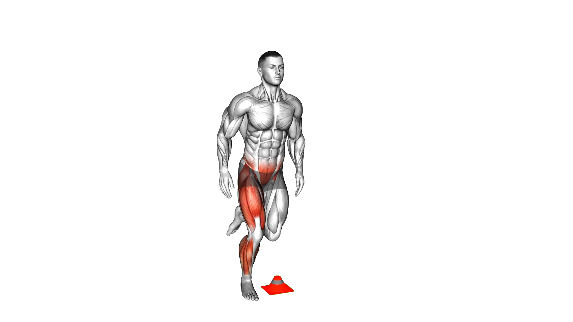 4 Way Single Leg Hop exercise demonstration