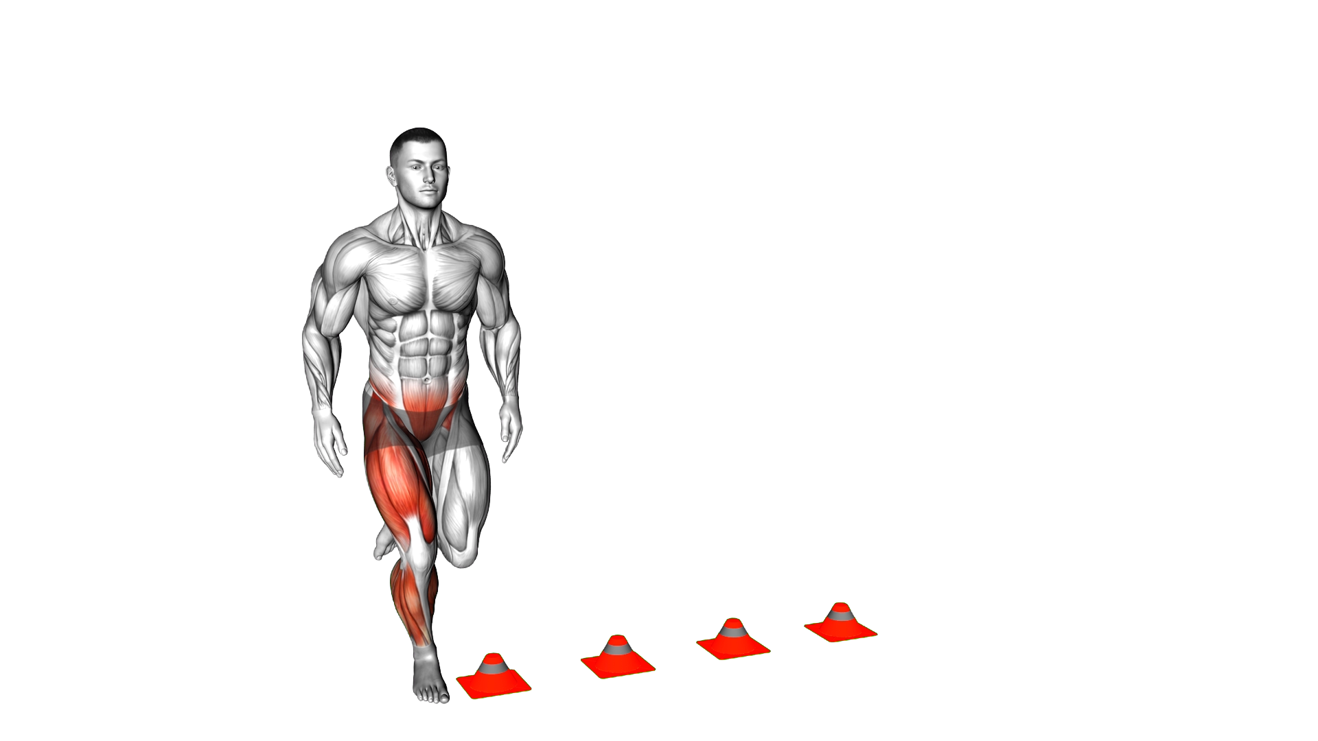 4 Cone Single Foot Lateral Hops exercise demonstration