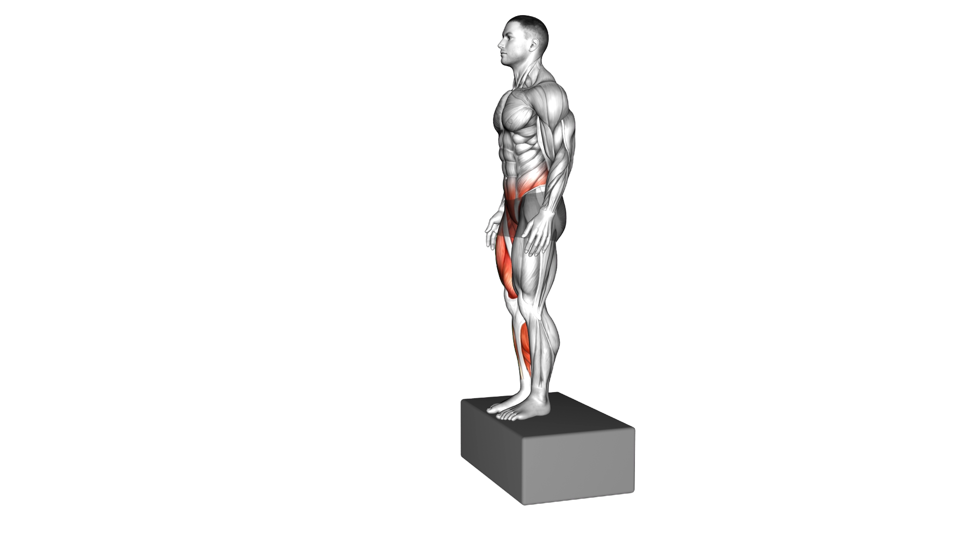 Box Drop to Single Leg Land exercise demonstration