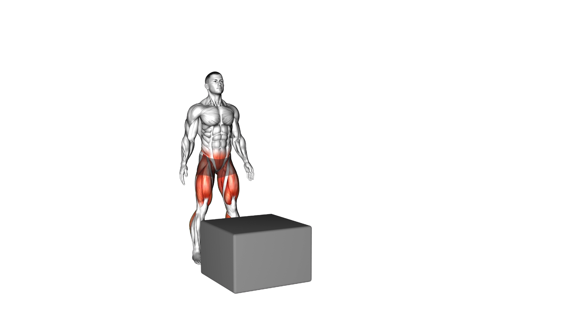 Box Drop Split Stance Land exercise demonstration