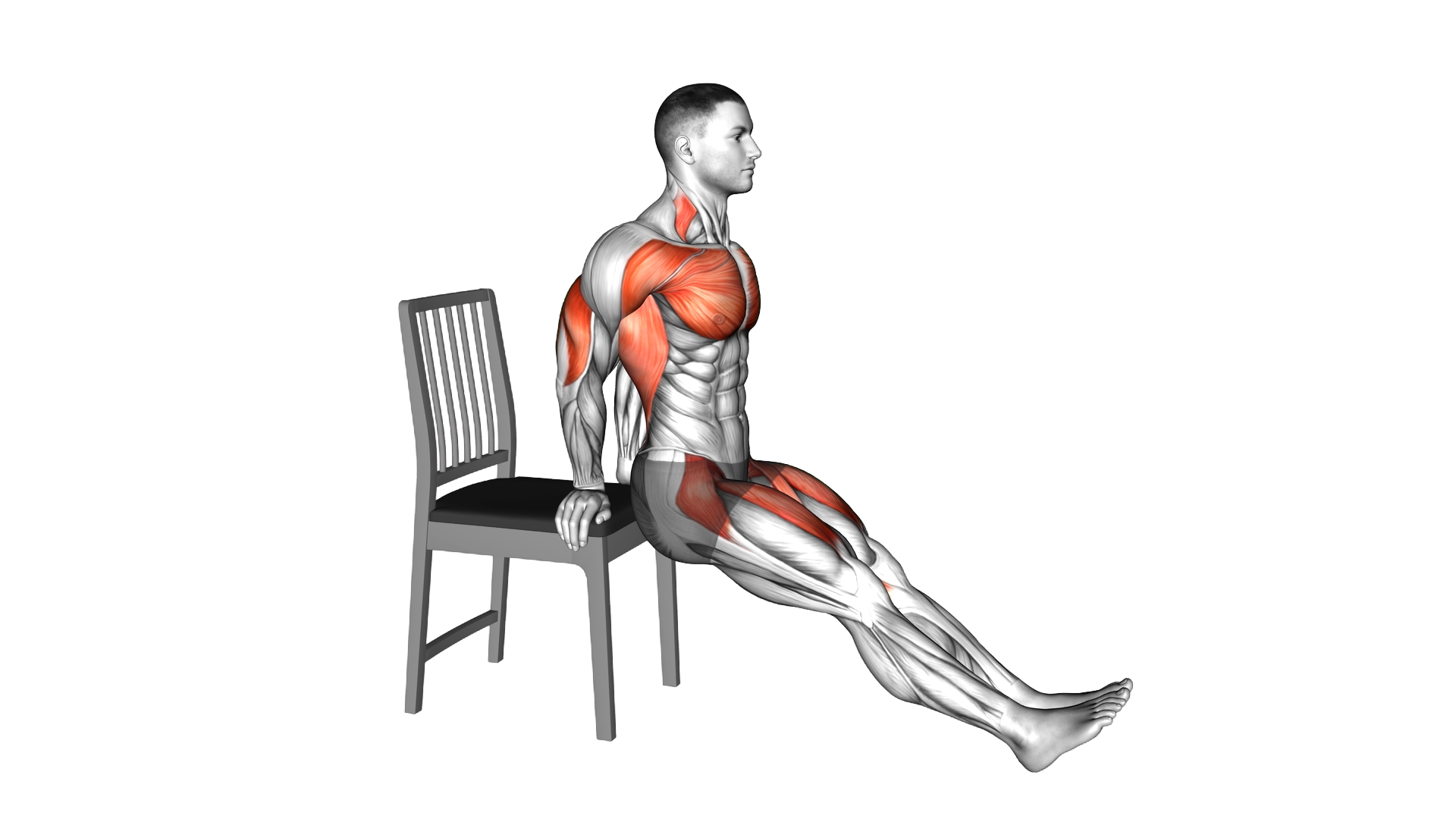 Sitting Dip and Leg Raise on a Chair exercise demonstration