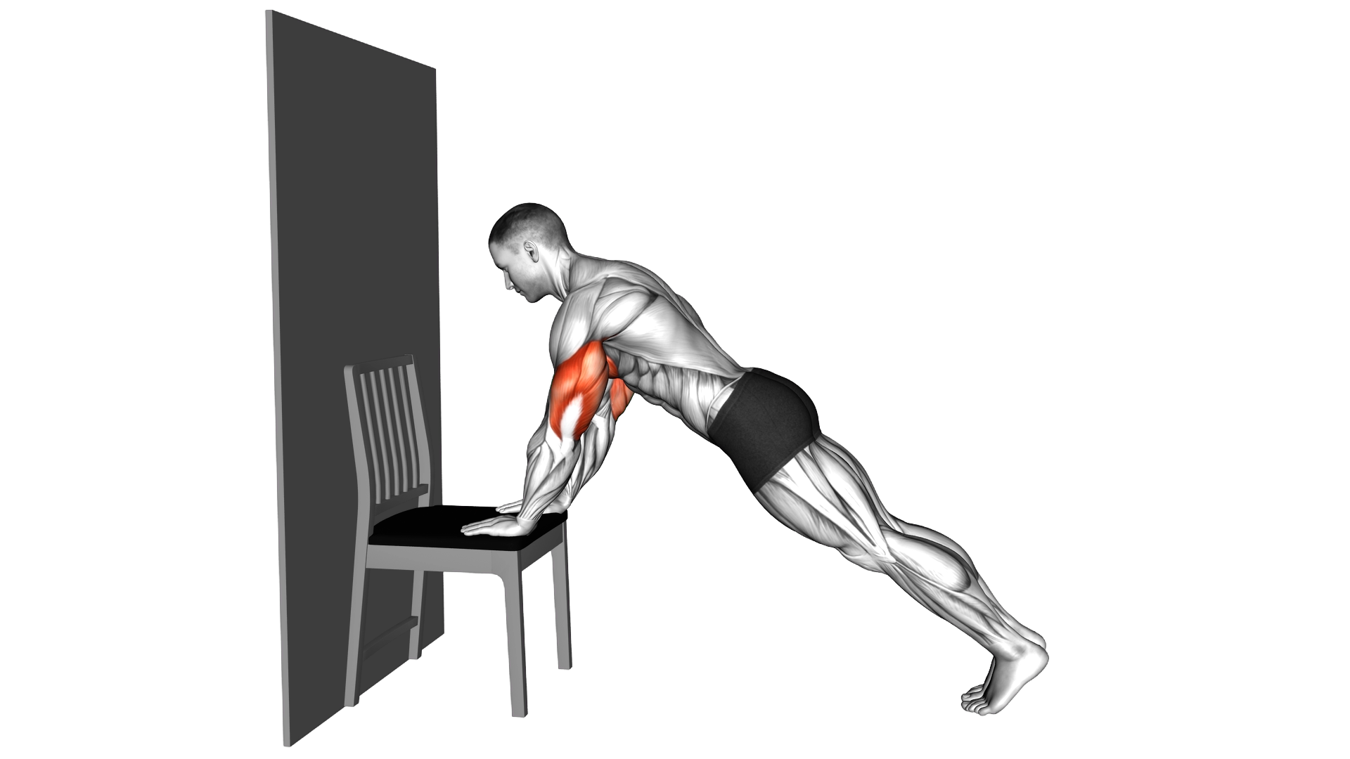 Push up on a Chair exercise demonstration