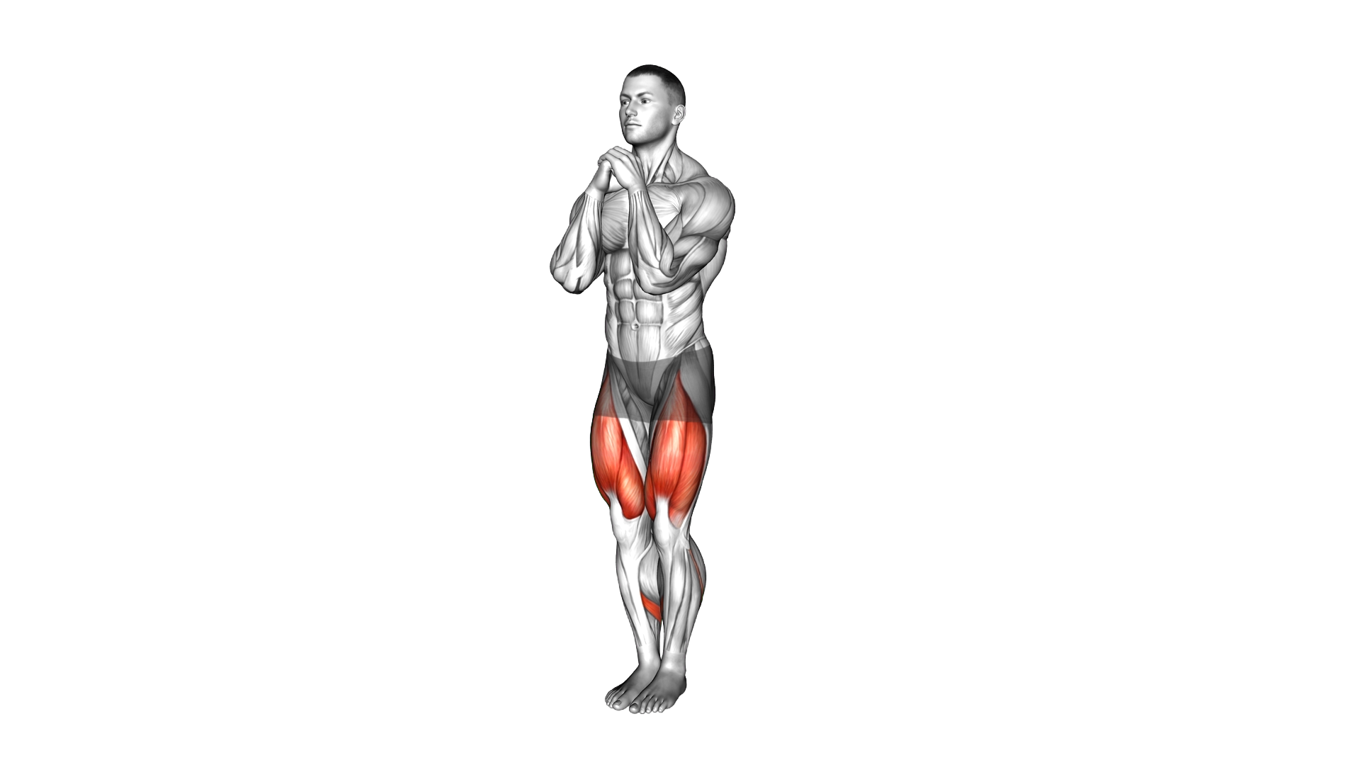 Close Stance Squat exercise demonstration