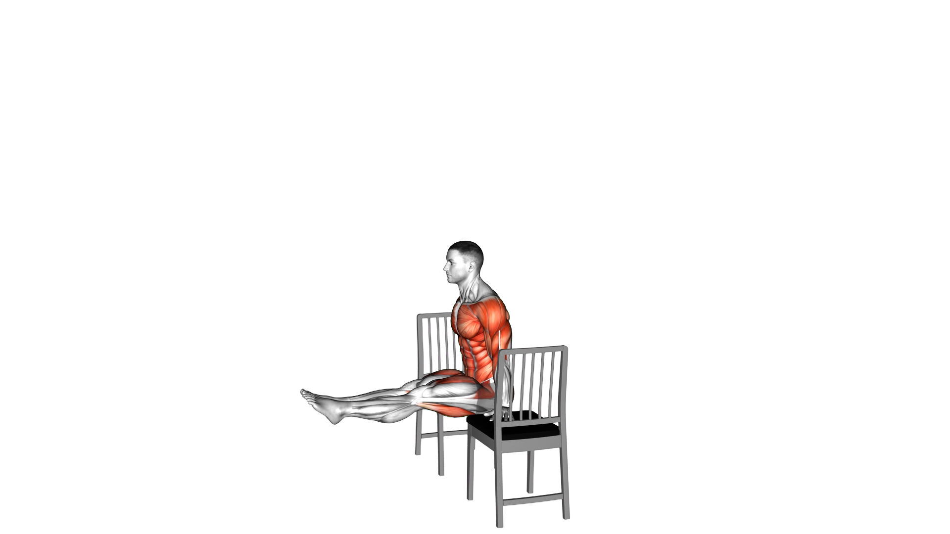 Planche on a Chair exercise demonstration