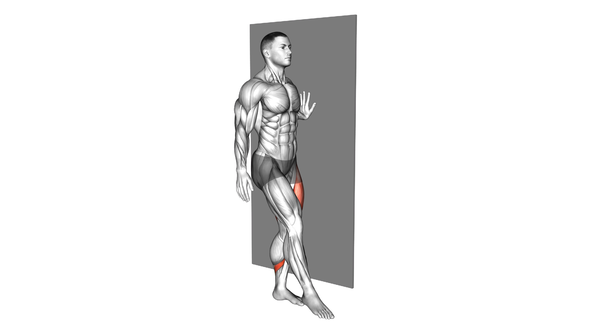 Single Leg Squat with Wall Support (pistol) exercise demonstration