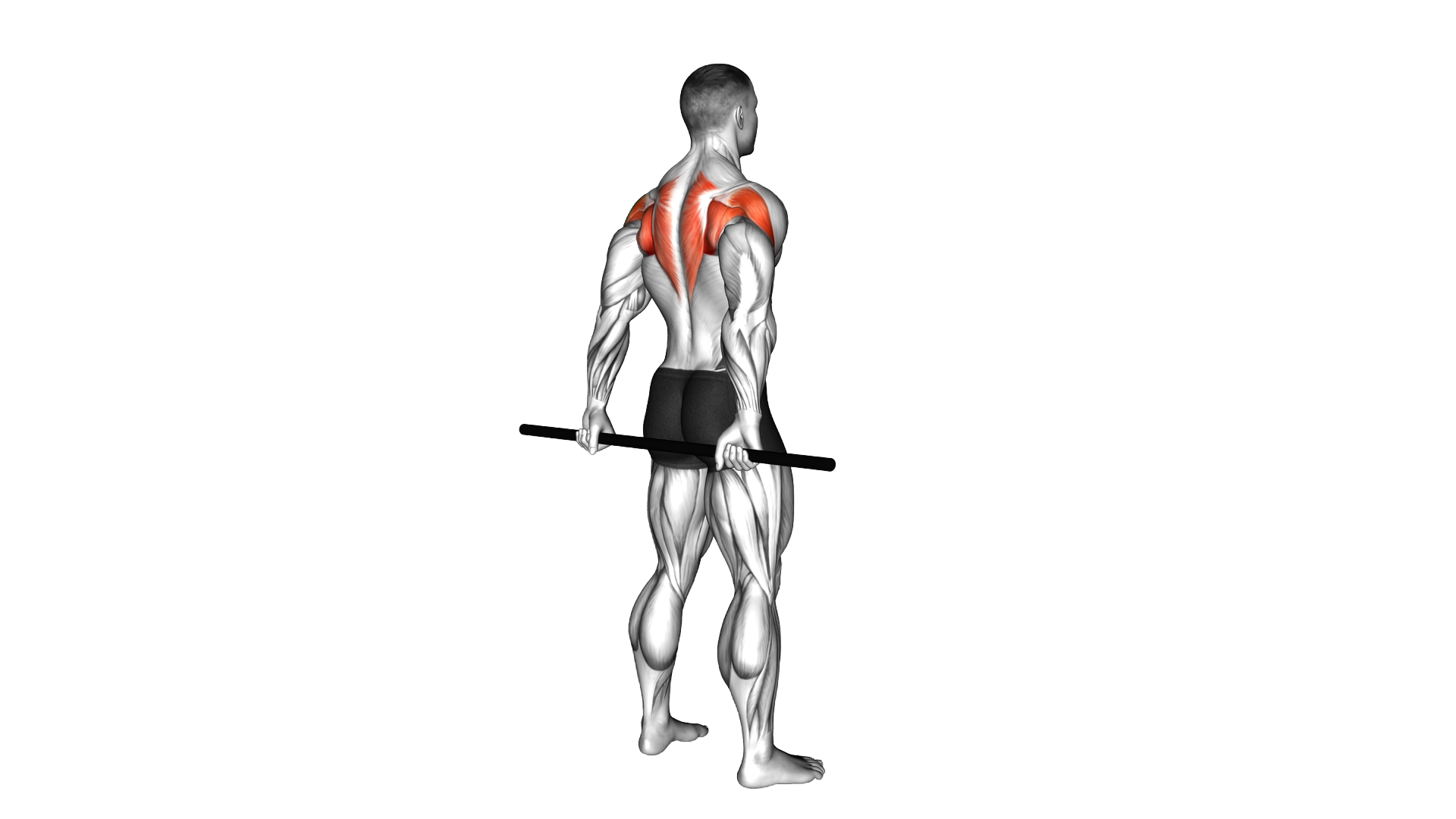 Stick Standing Shoulder Mobilization in Extension exercise demonstration