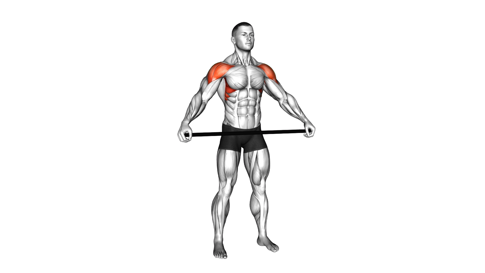 Stick Shoulder Mobilization in Abduction exercise demonstration
