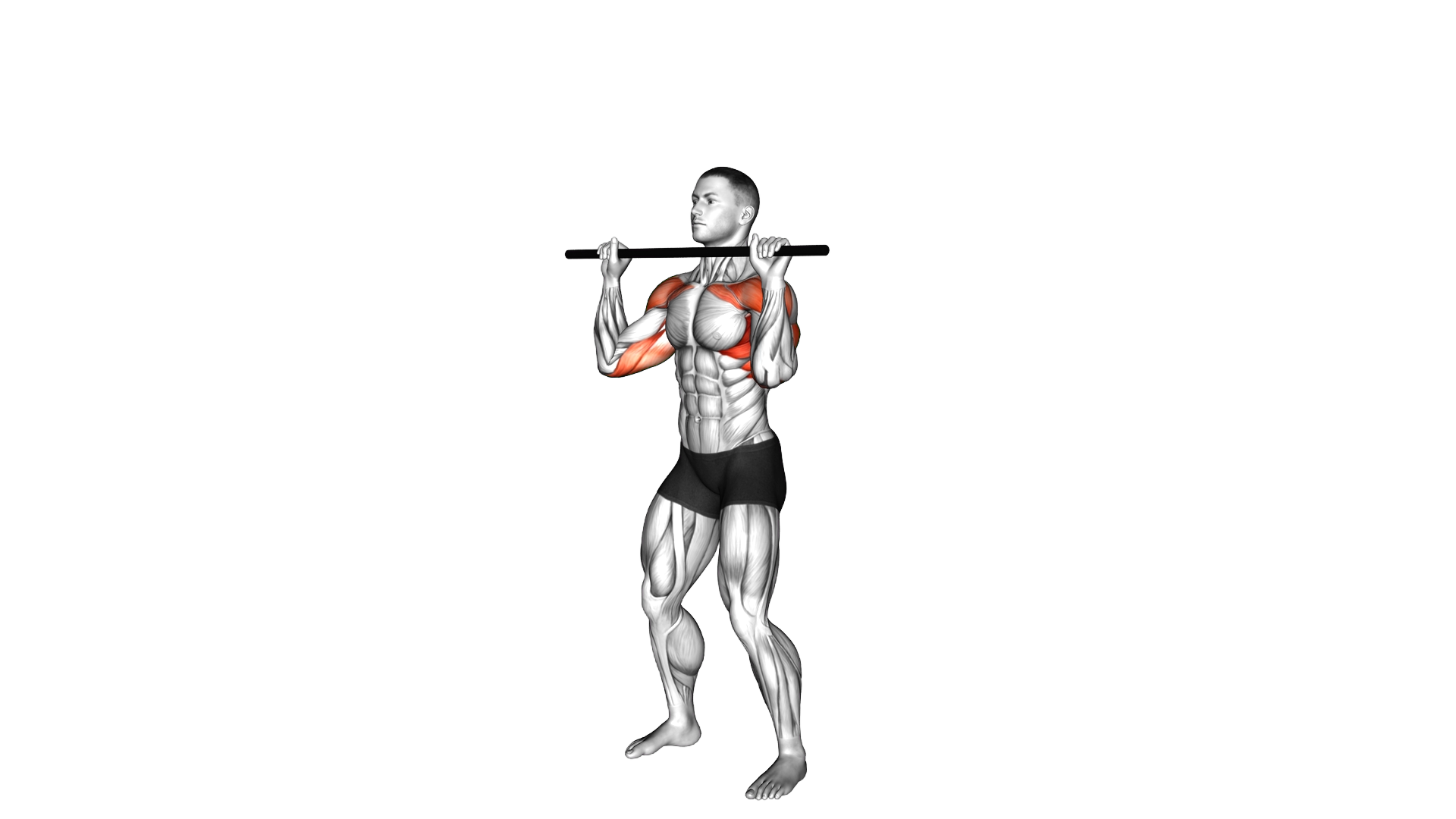 Stick Standing Shoulder Press exercise demonstration