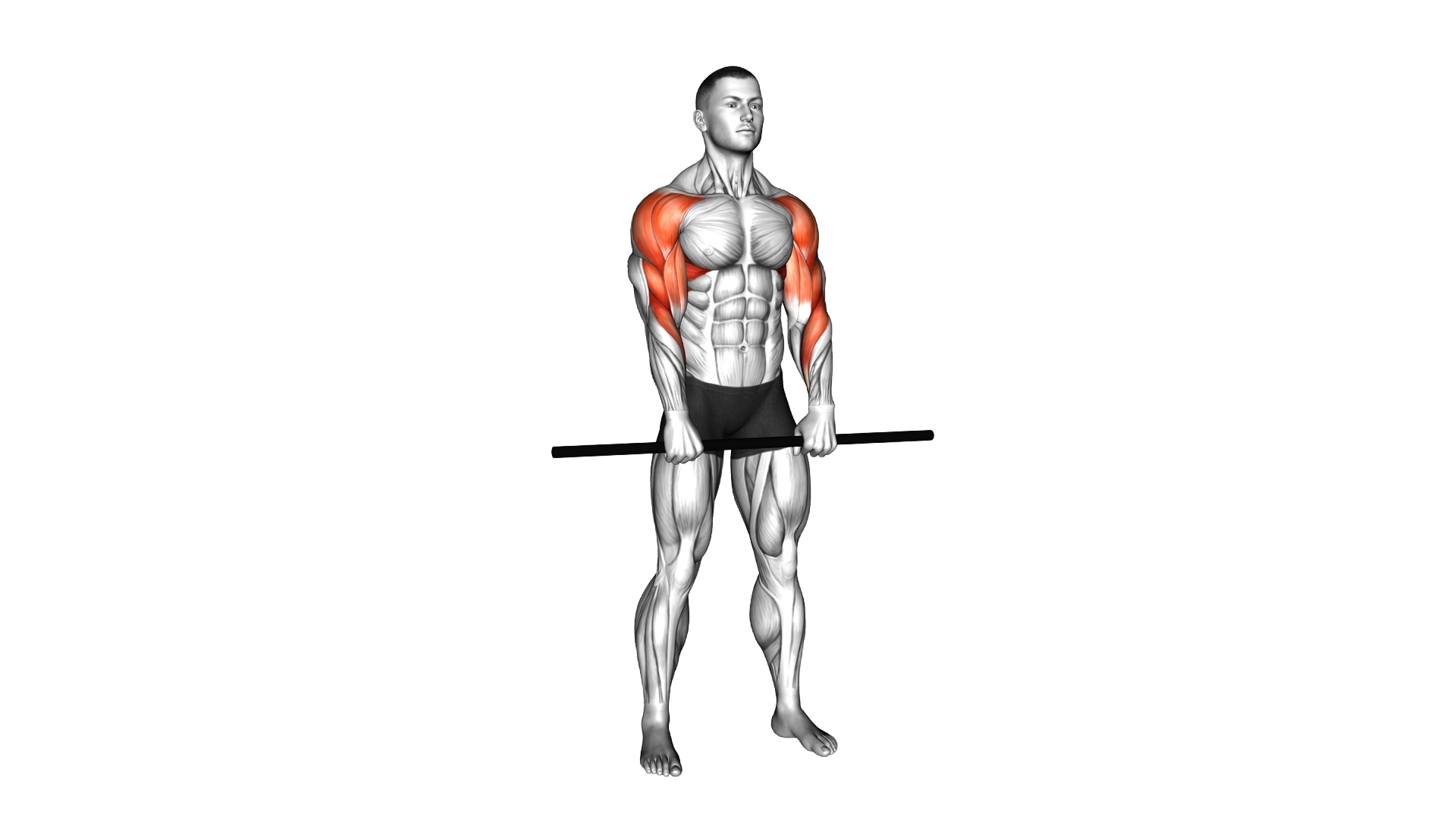 Stick Standing Upright Row exercise demonstration