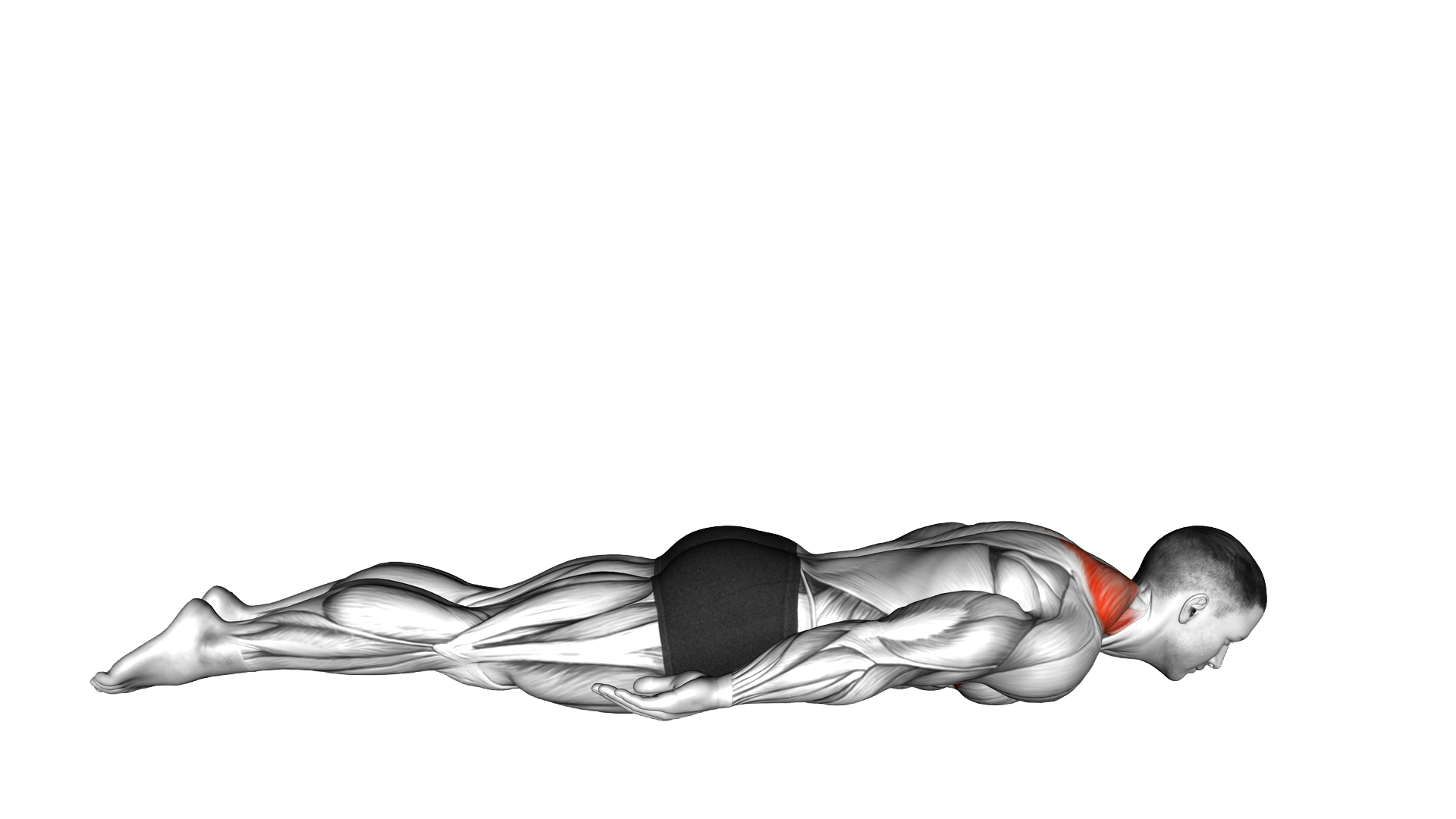 Lying Upper Trapezius Press exercise demonstration