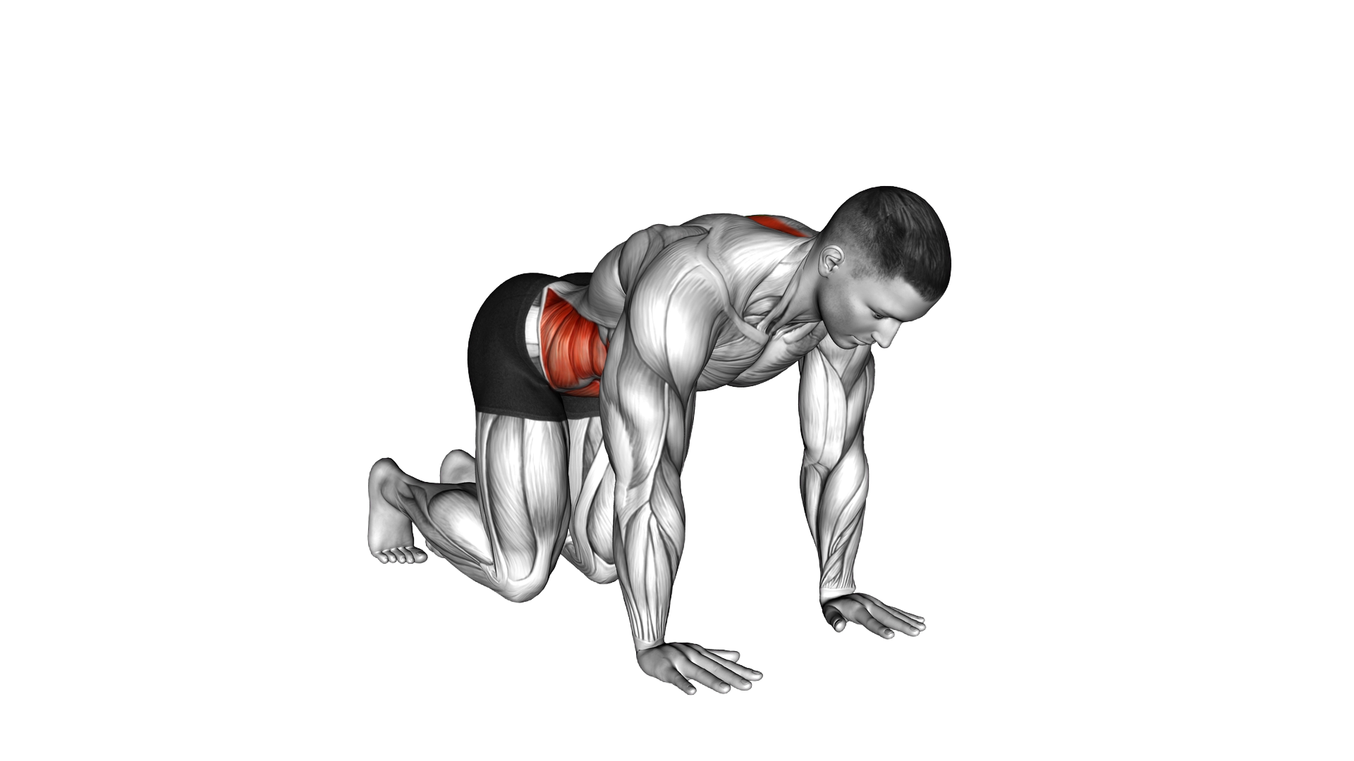 Cat Cow Lookback exercise demonstration