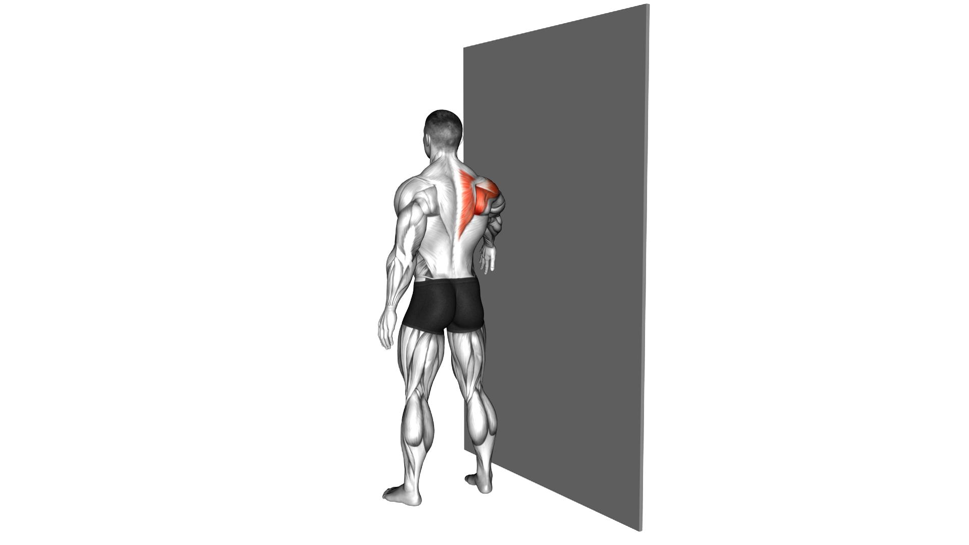 Standing Single Arm Circle on a Wall exercise demonstration