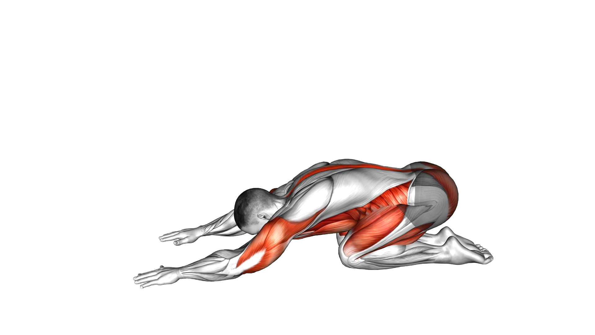 Child to Cobra Pose exercise demonstration