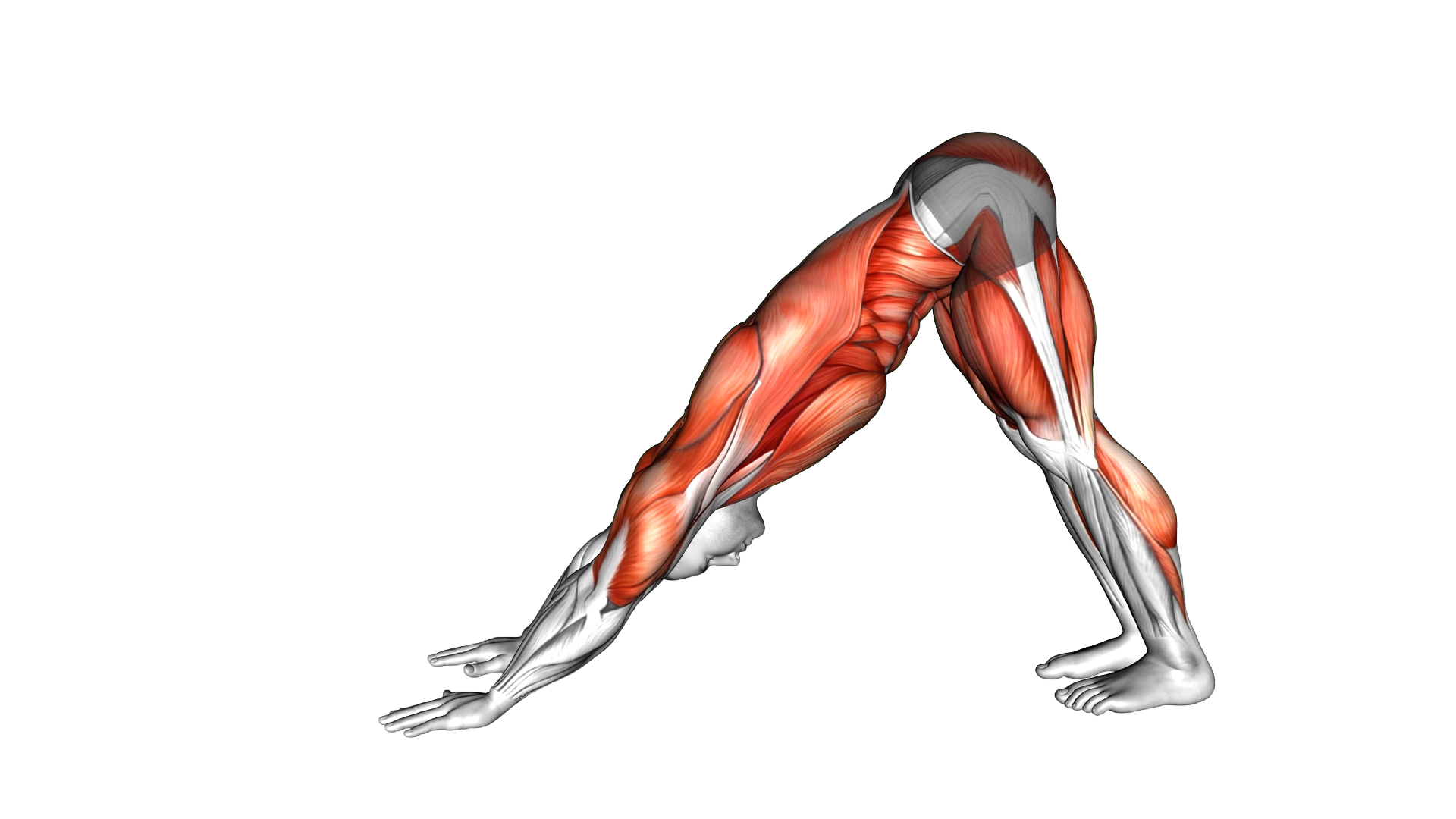 Body Rock to Down Dog exercise demonstration