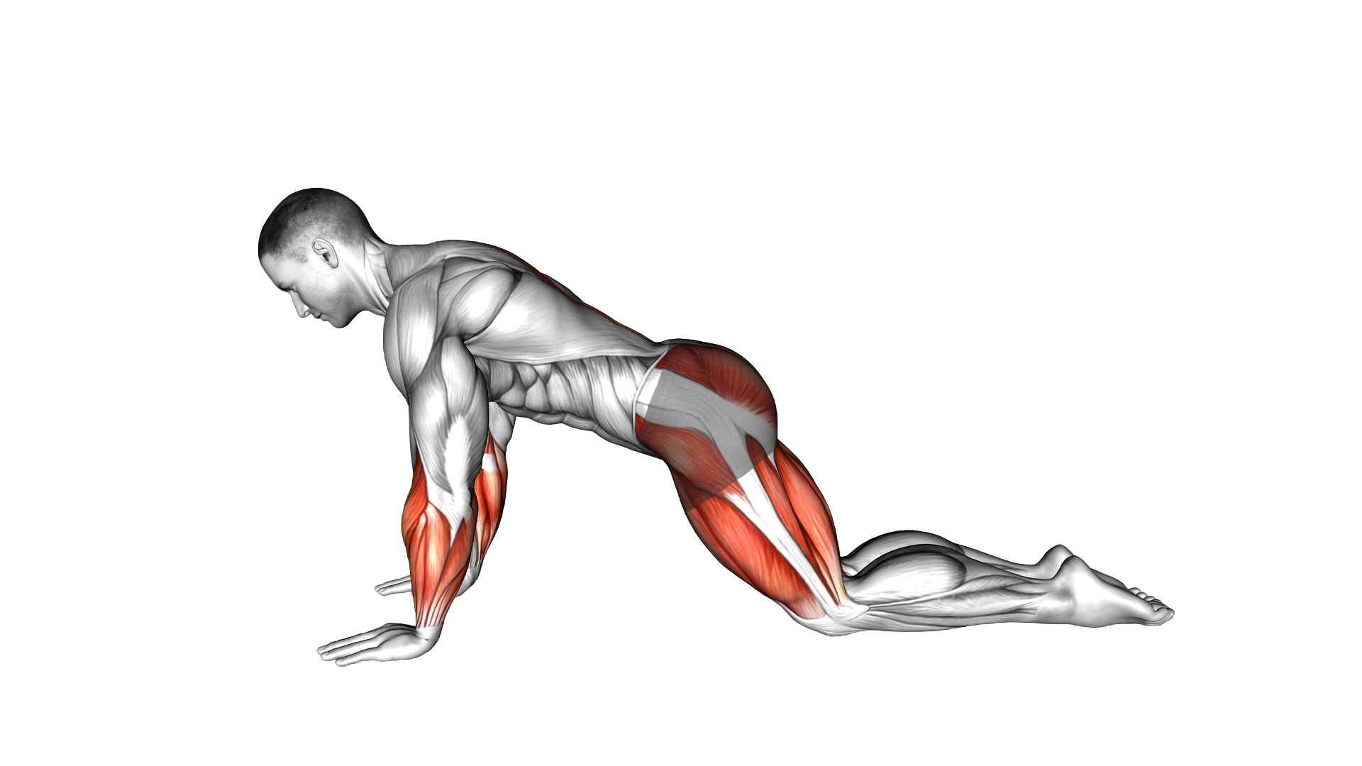 Child pose Arms Rotation exercise demonstration