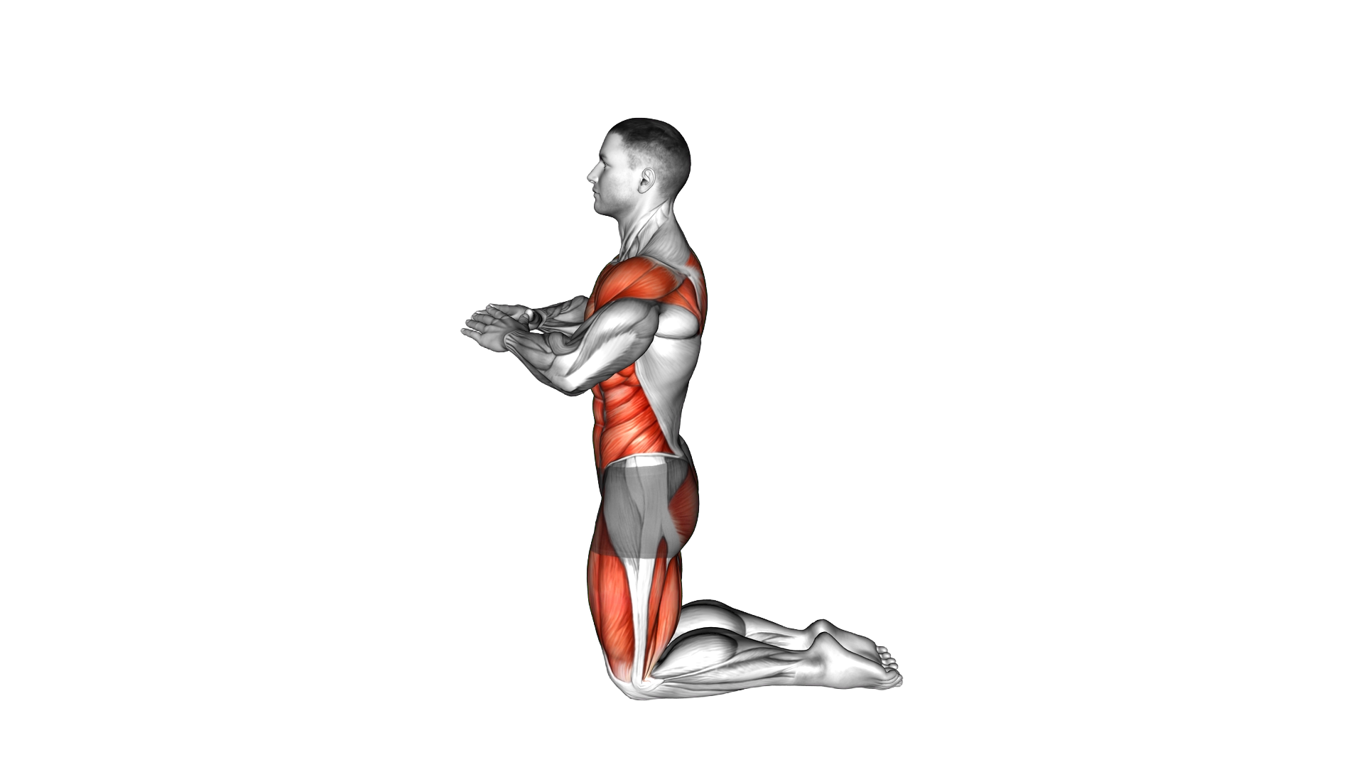 Kneeling Backwards Reach exercise demonstration