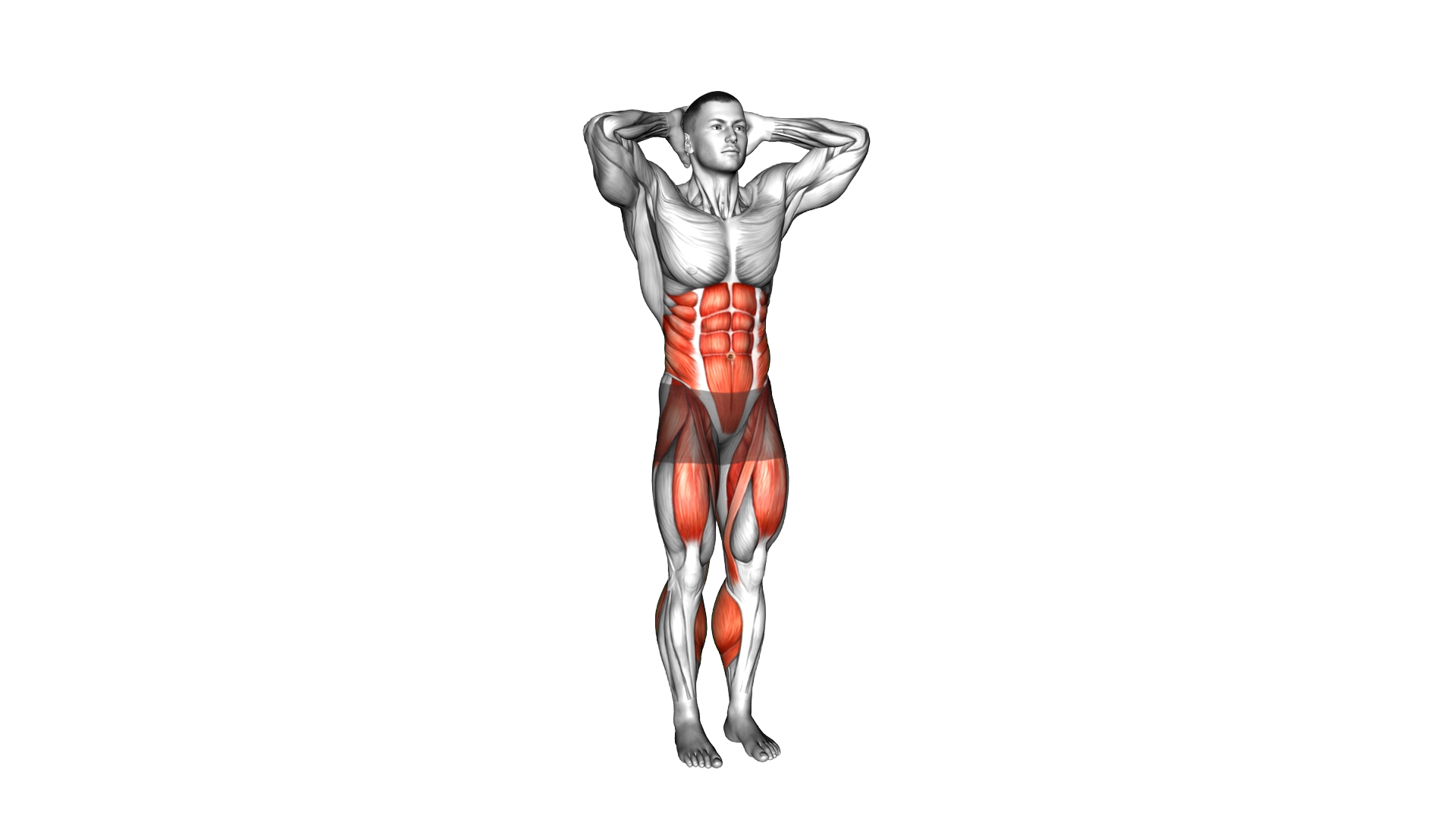 Standing Alternate Leg Lift exercise demonstration