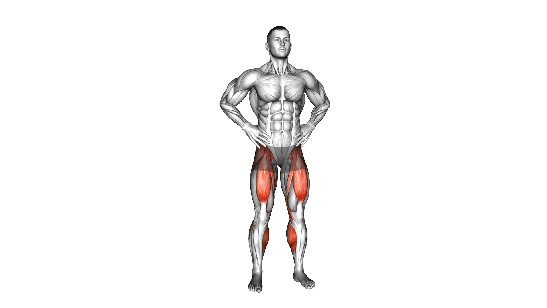 Standing Alternate Knee Raise exercise demonstration