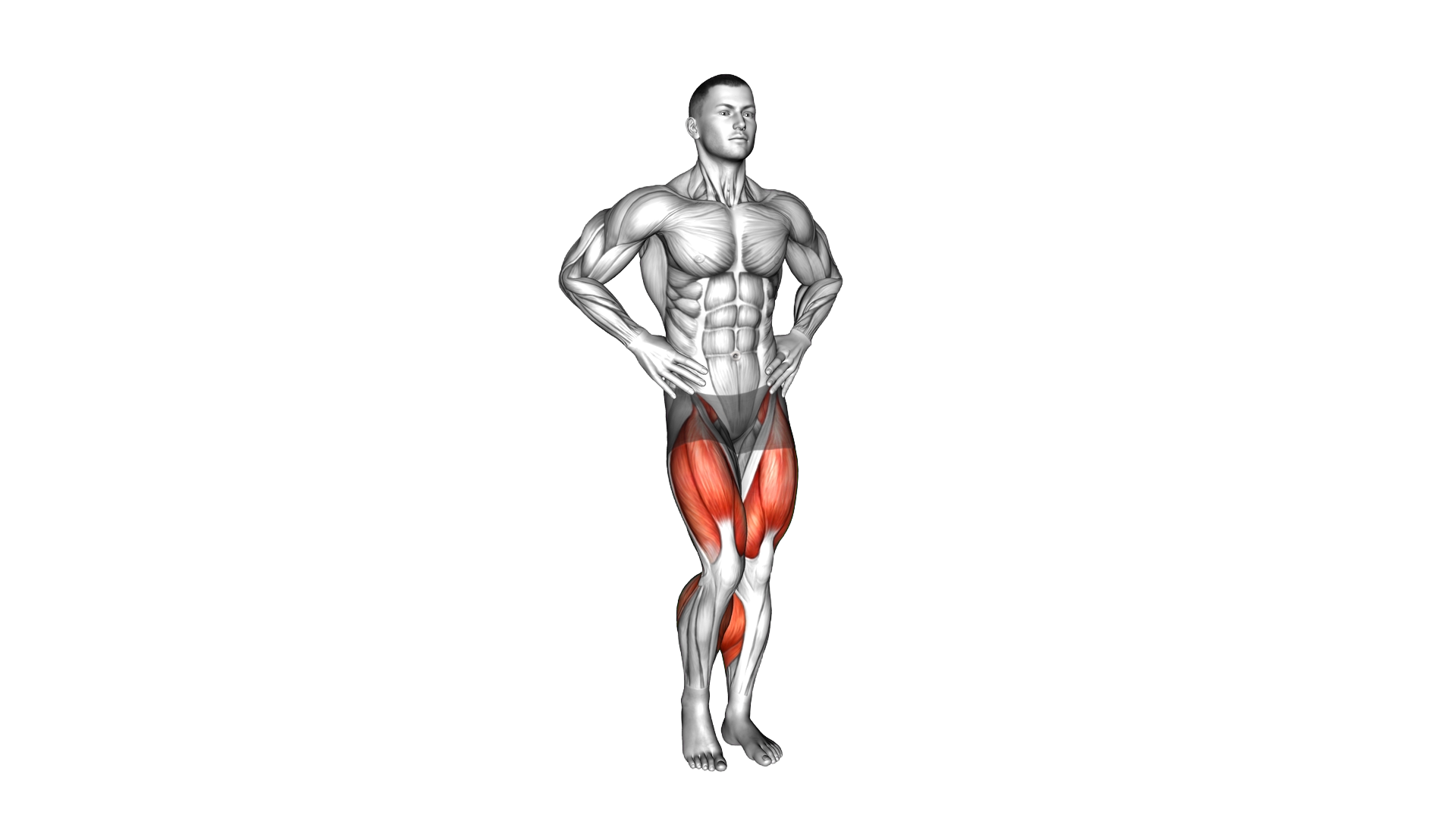 Step on Spot exercise demonstration