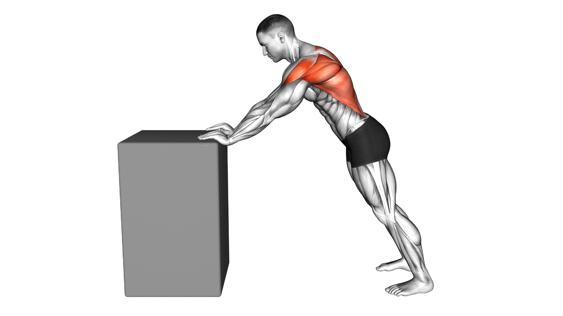 Lat Shoulder Stretch into Shoulder Shrug exercise demonstration