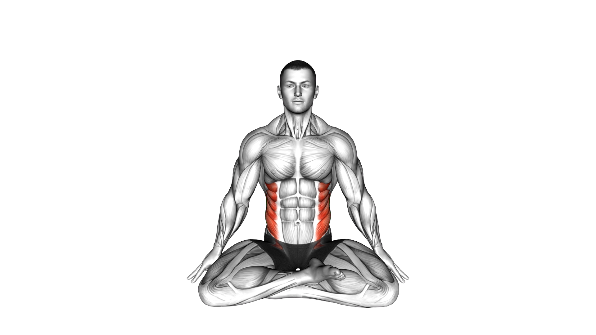 Seated Twist Stretch exercise demonstration