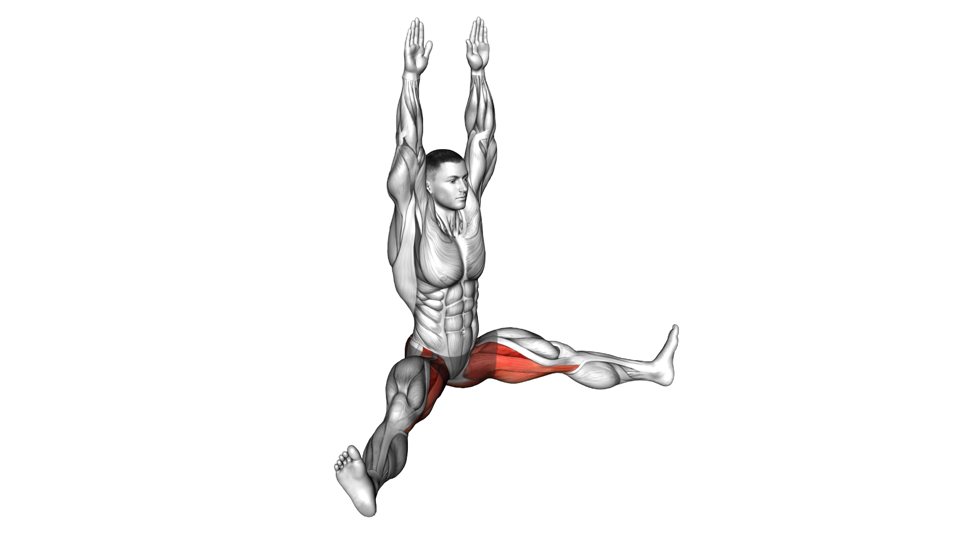 Wide Leg Learning Forward exercise demonstration