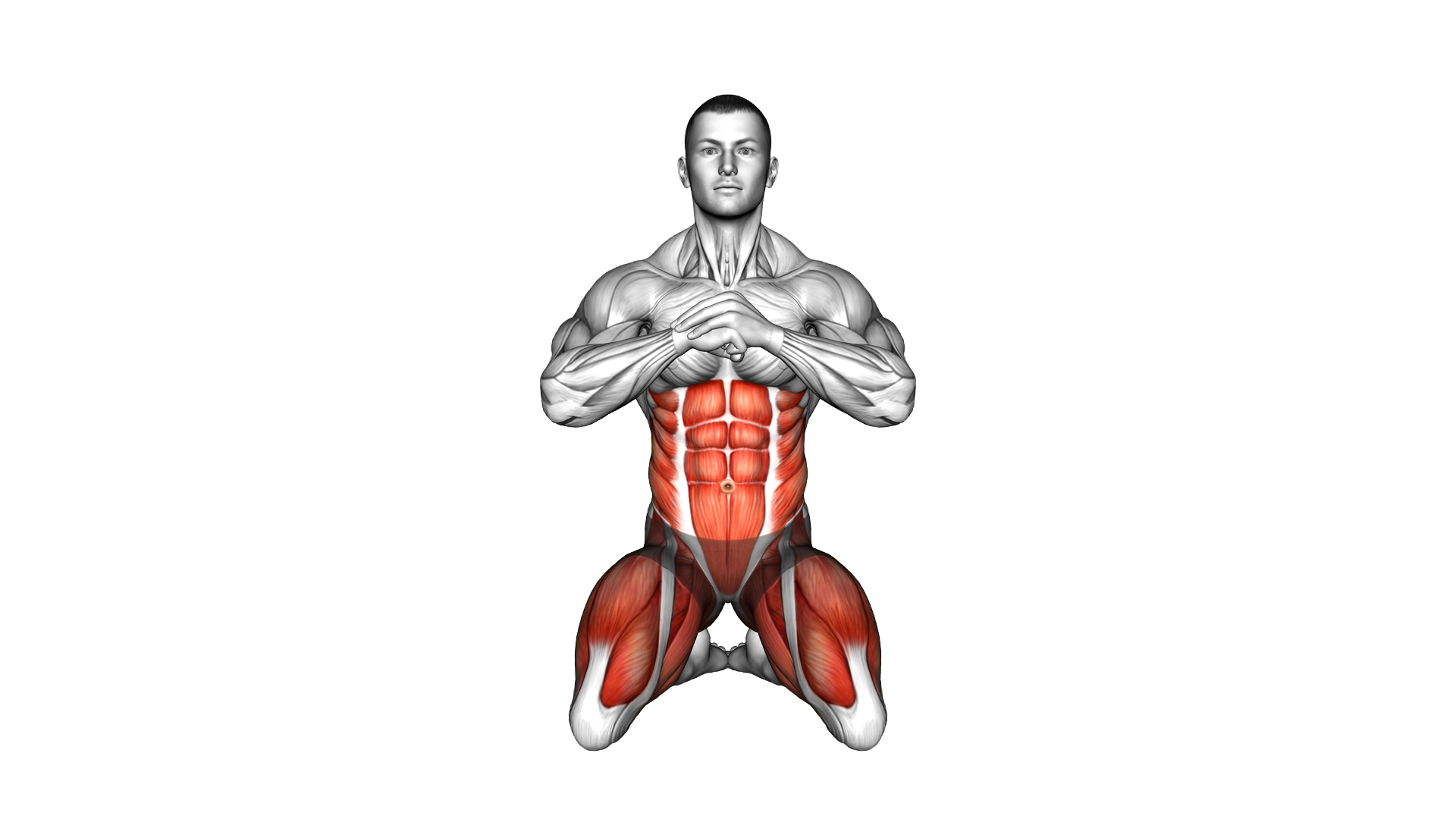 Kneeling External Rotation exercise demonstration