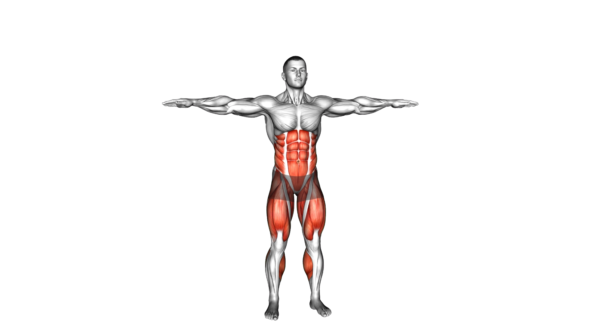 Standing Front Leg Lift Cross Toe Touches Side Ben exercise demonstration