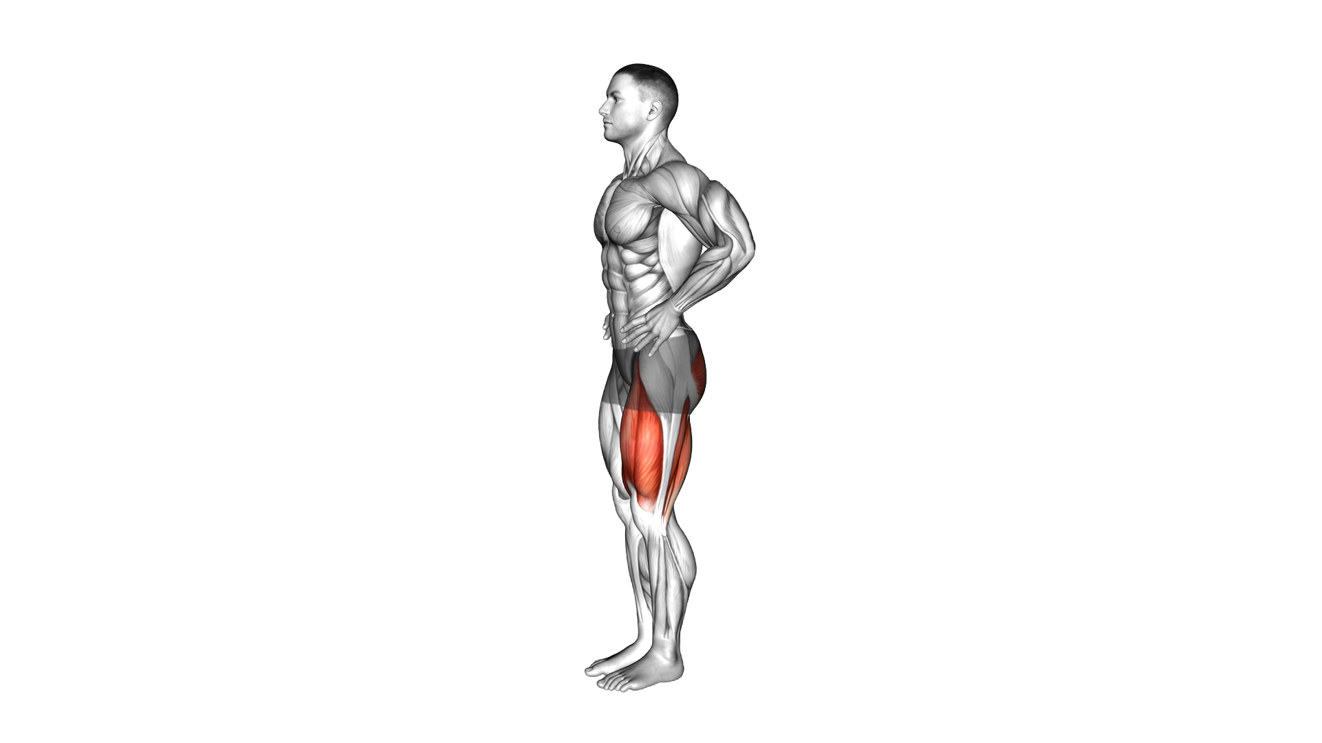 Standing Hip Extension to Leg Lift exercise demonstration