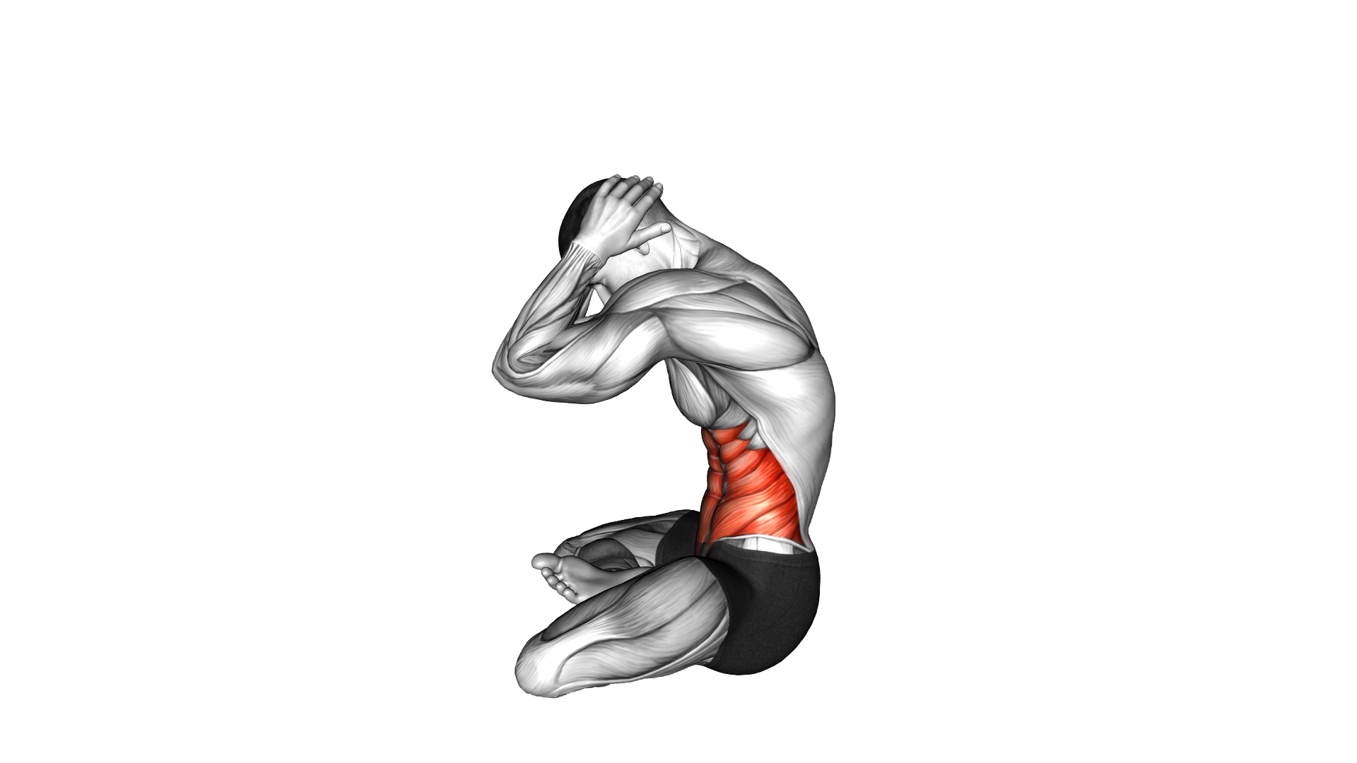 Sitting Cat Cow Pose exercise demonstration