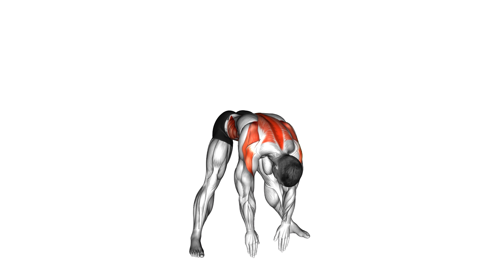 Wide Stance Thoracic Rotation exercise demonstration