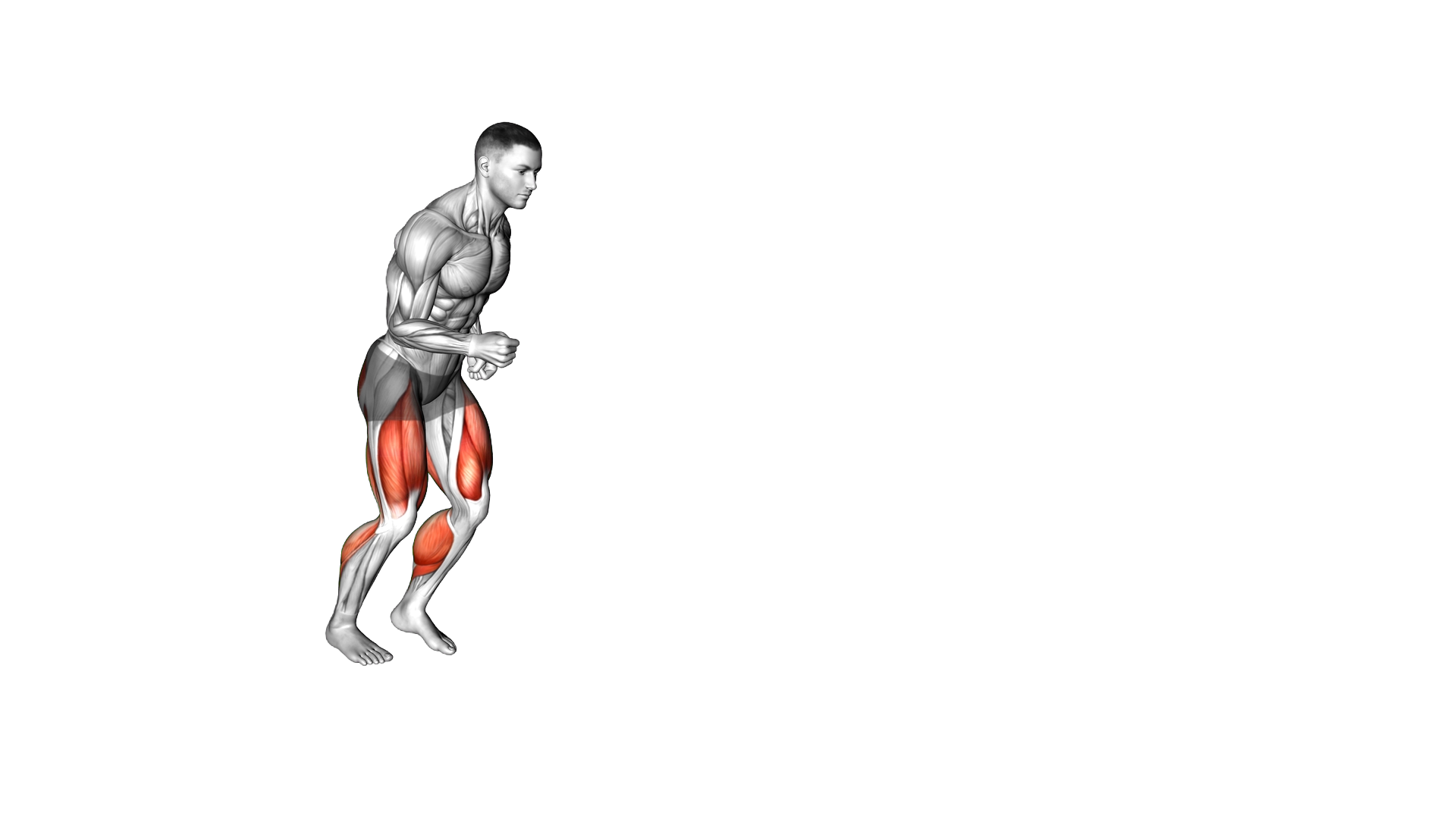 Forward Backward Shuffle exercise demonstration