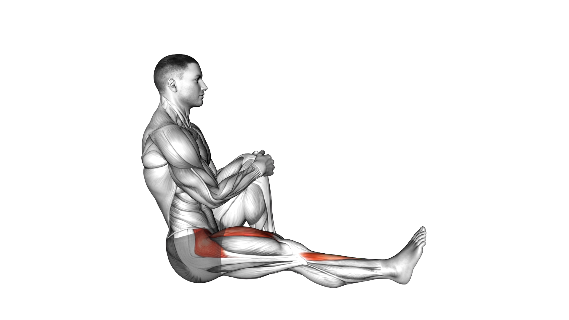 Sitting Floor Tibialis Raise exercise demonstration