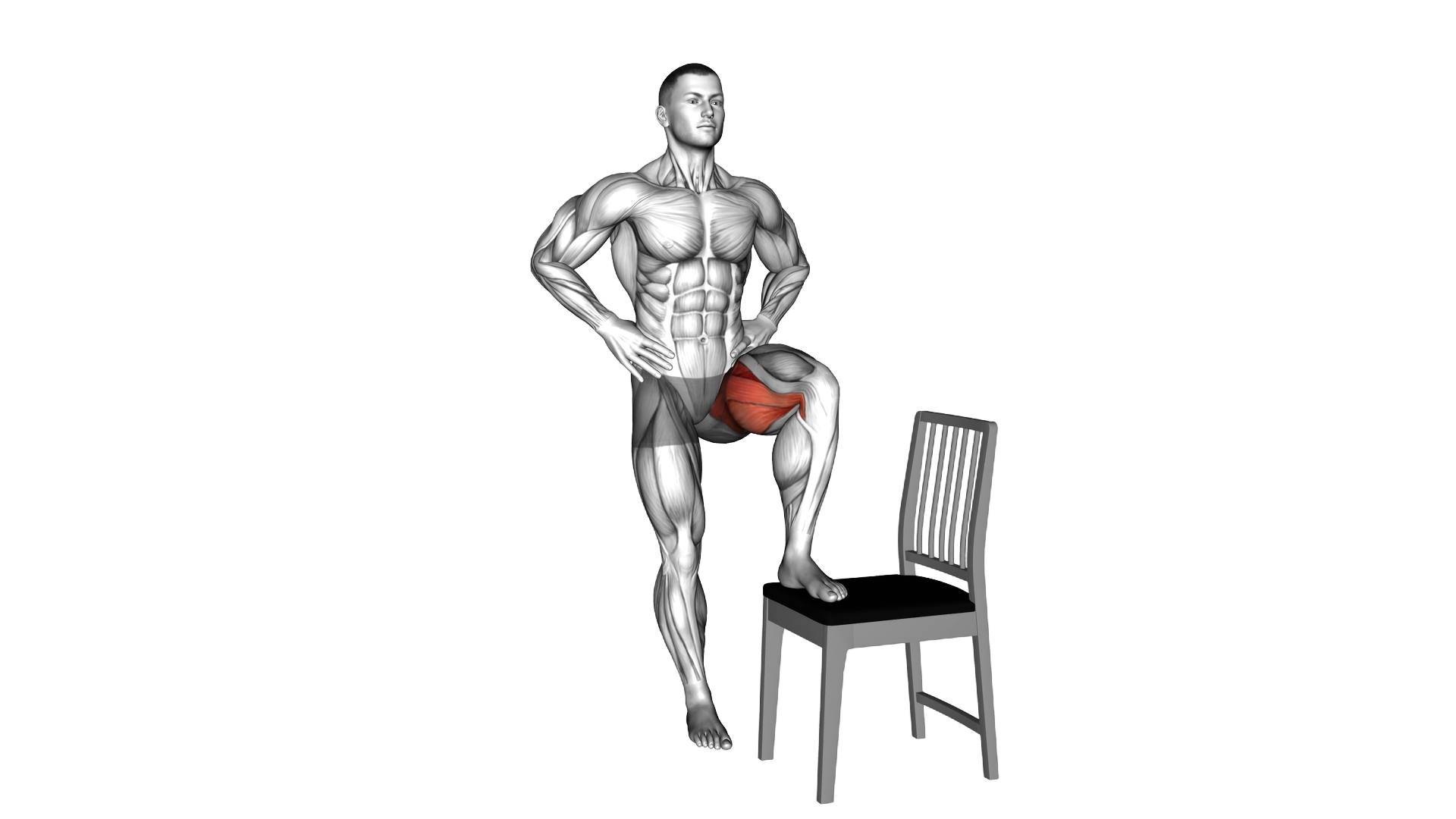 Standing Pelvic Stabilizers Mobilization exercise demonstration
