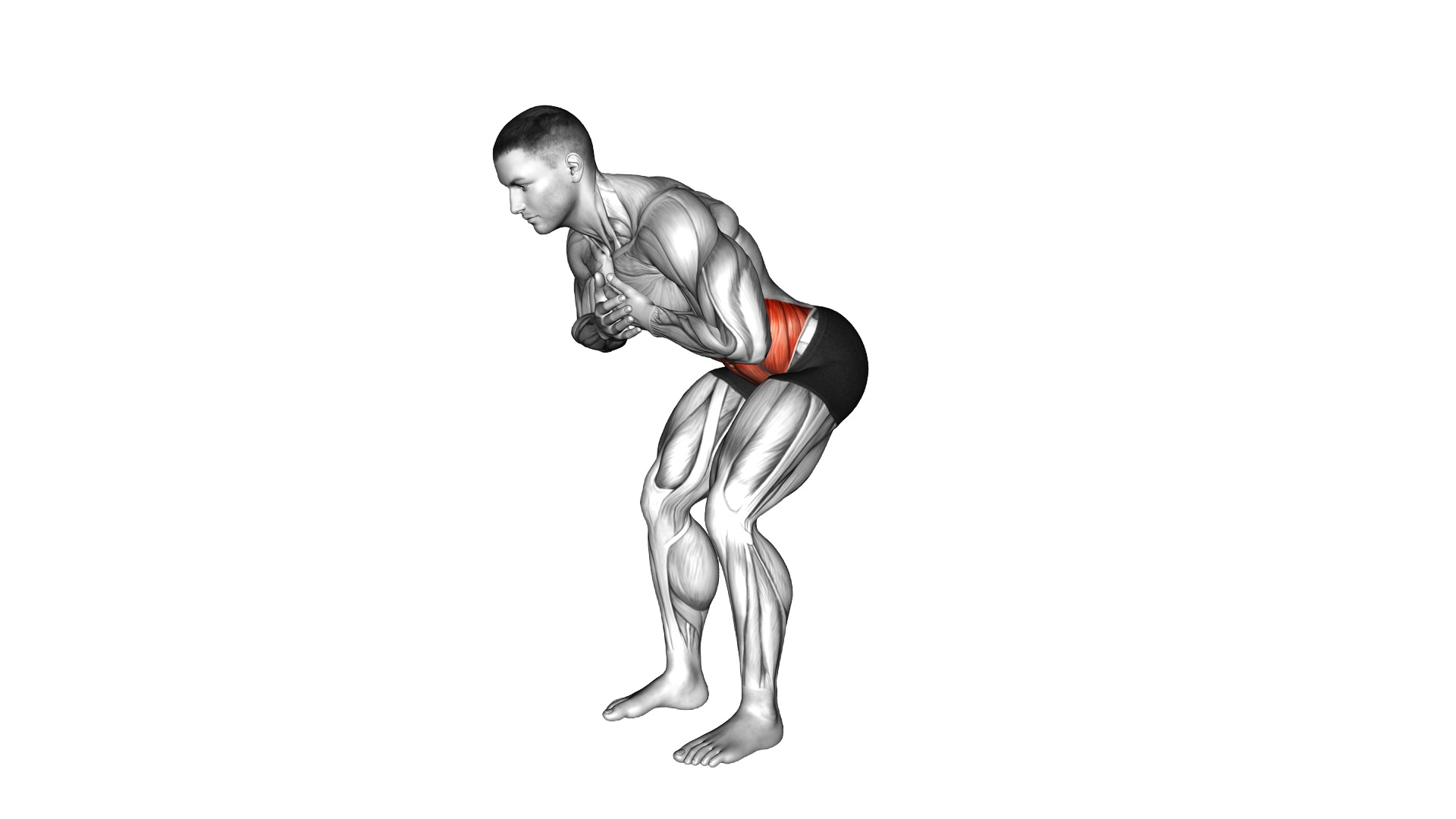 Upper Body Rotation in Squat Position exercise demonstration