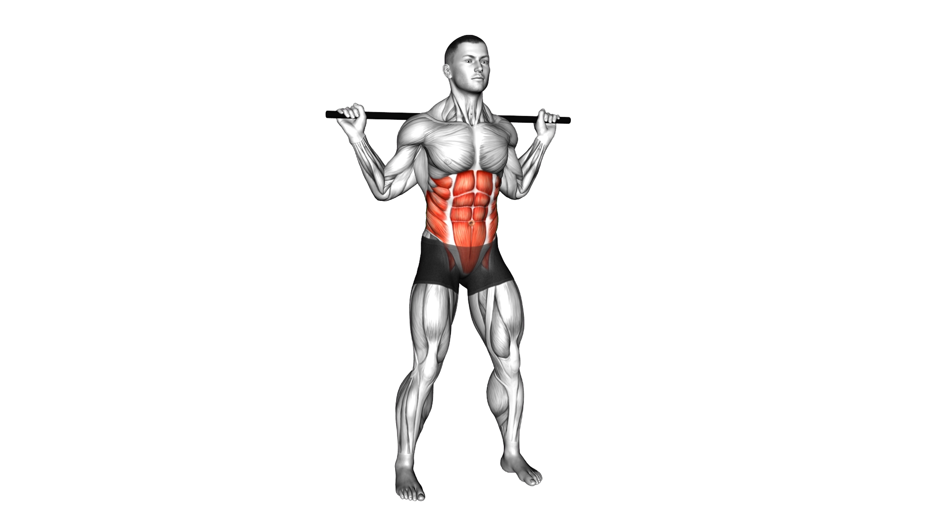 Stick Standing Torso Twist exercise demonstration
