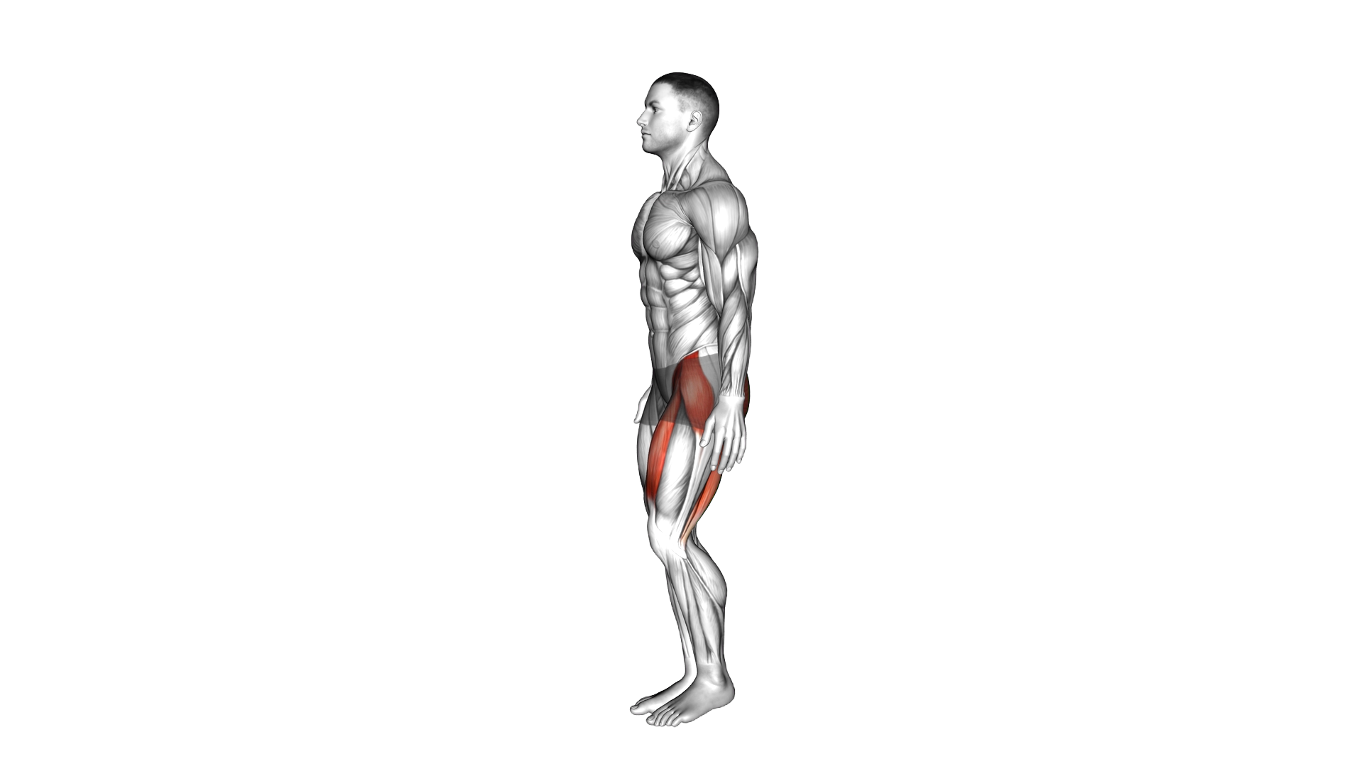 Dynamic One Leg Stand exercise demonstration